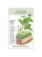 Botanical Interests Cover Crop Buckwheat Organic