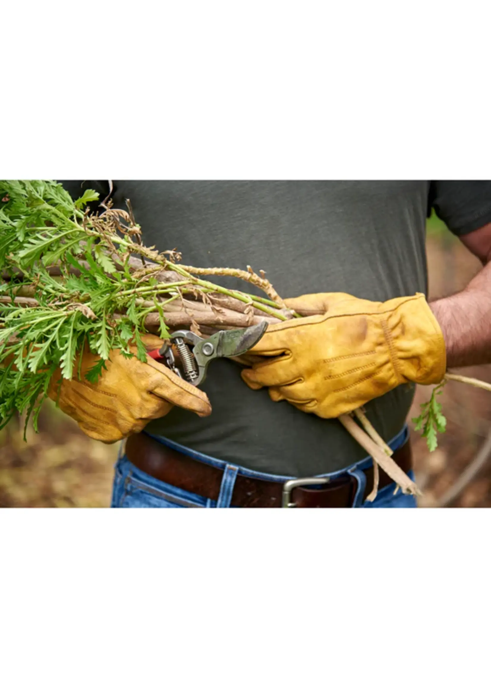 Corona Corona 1 INCH Bypass Pruners