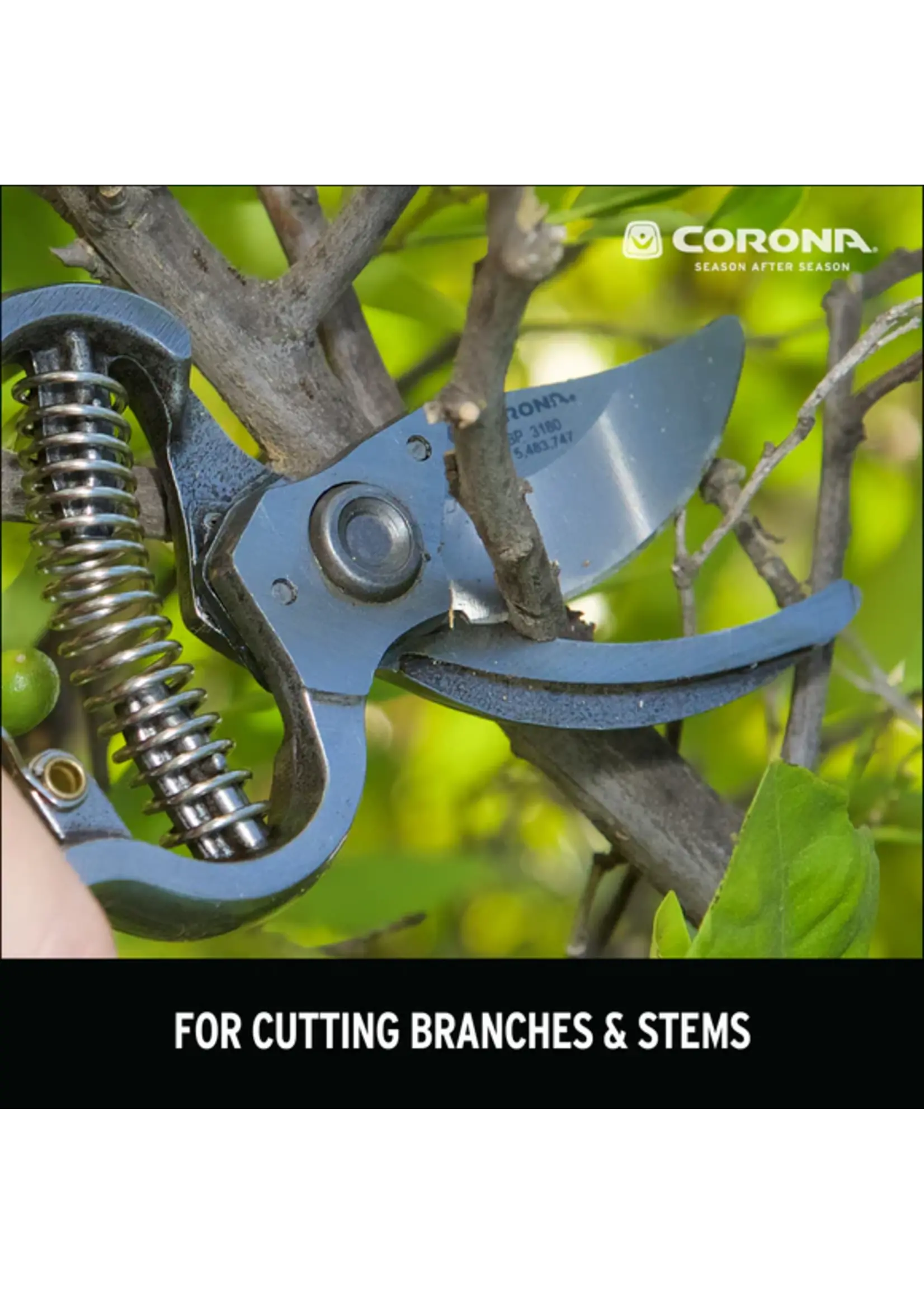 Corona Corona 1 INCH Bypass Pruners