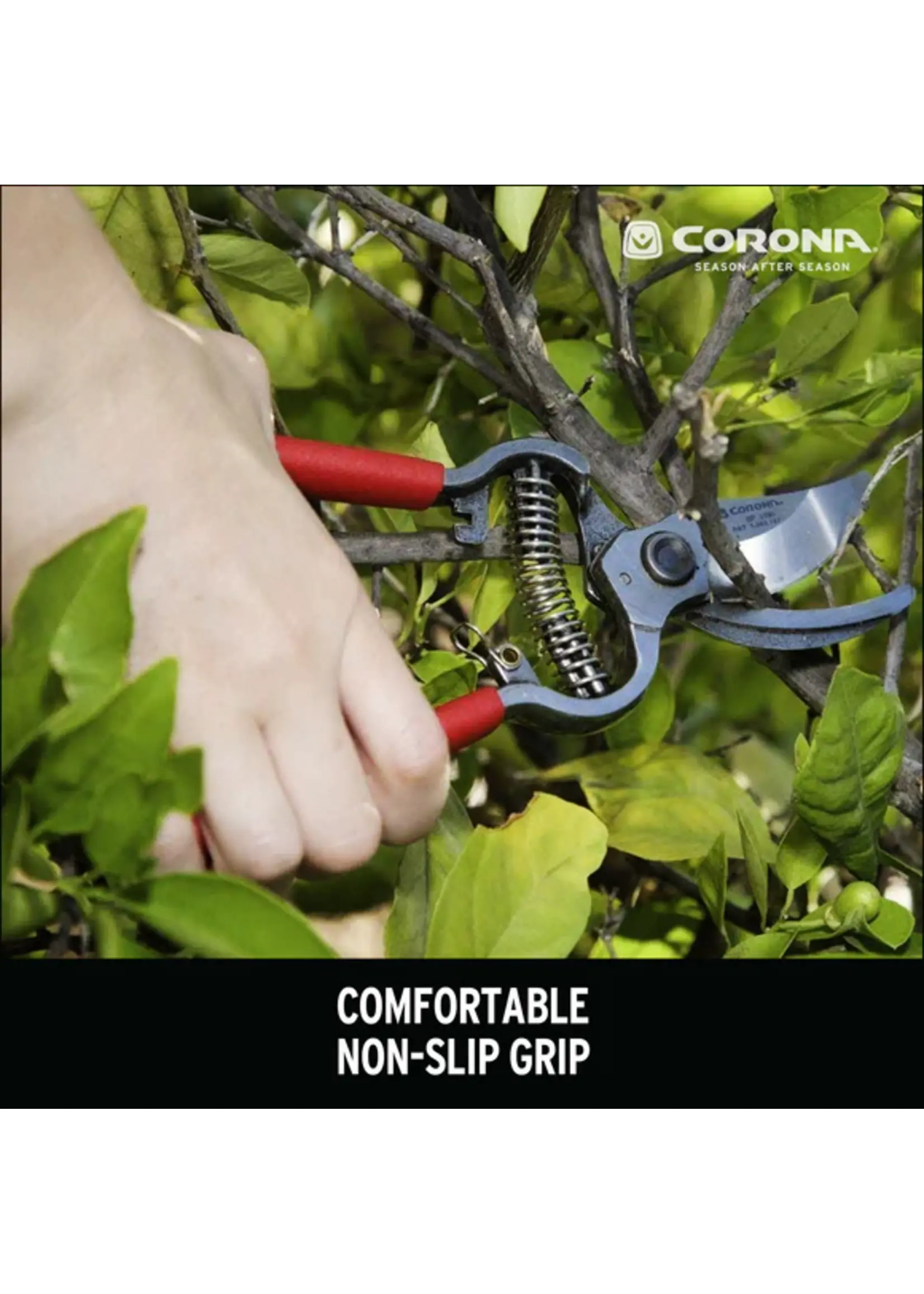 Corona Corona 1 INCH Bypass Pruners