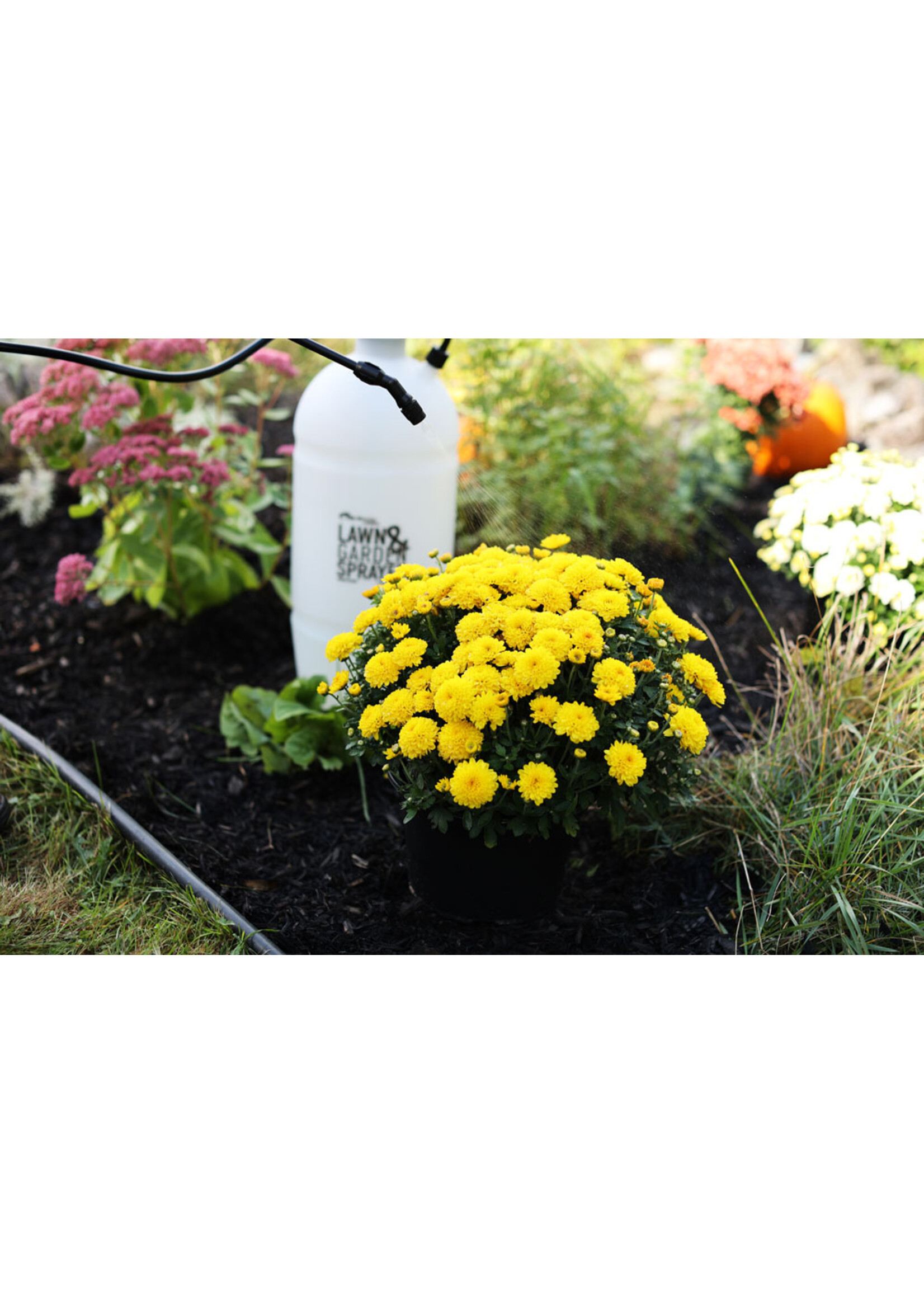Hudson Hudson Flomaster Lawn & Garden Pump Sprayer 2 Gal