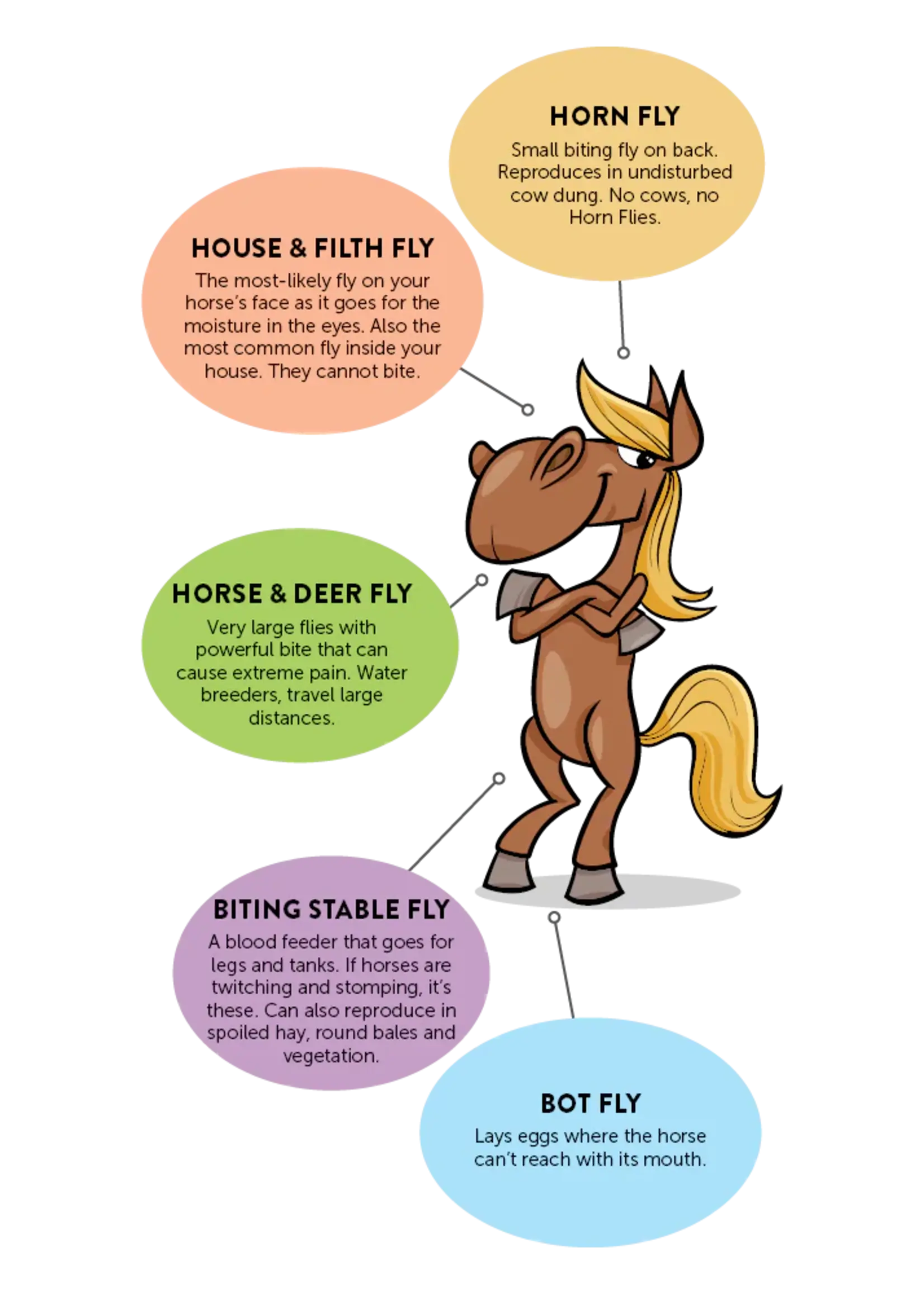 Tip Top Bio-Control Fly Exterminators - Fly Control