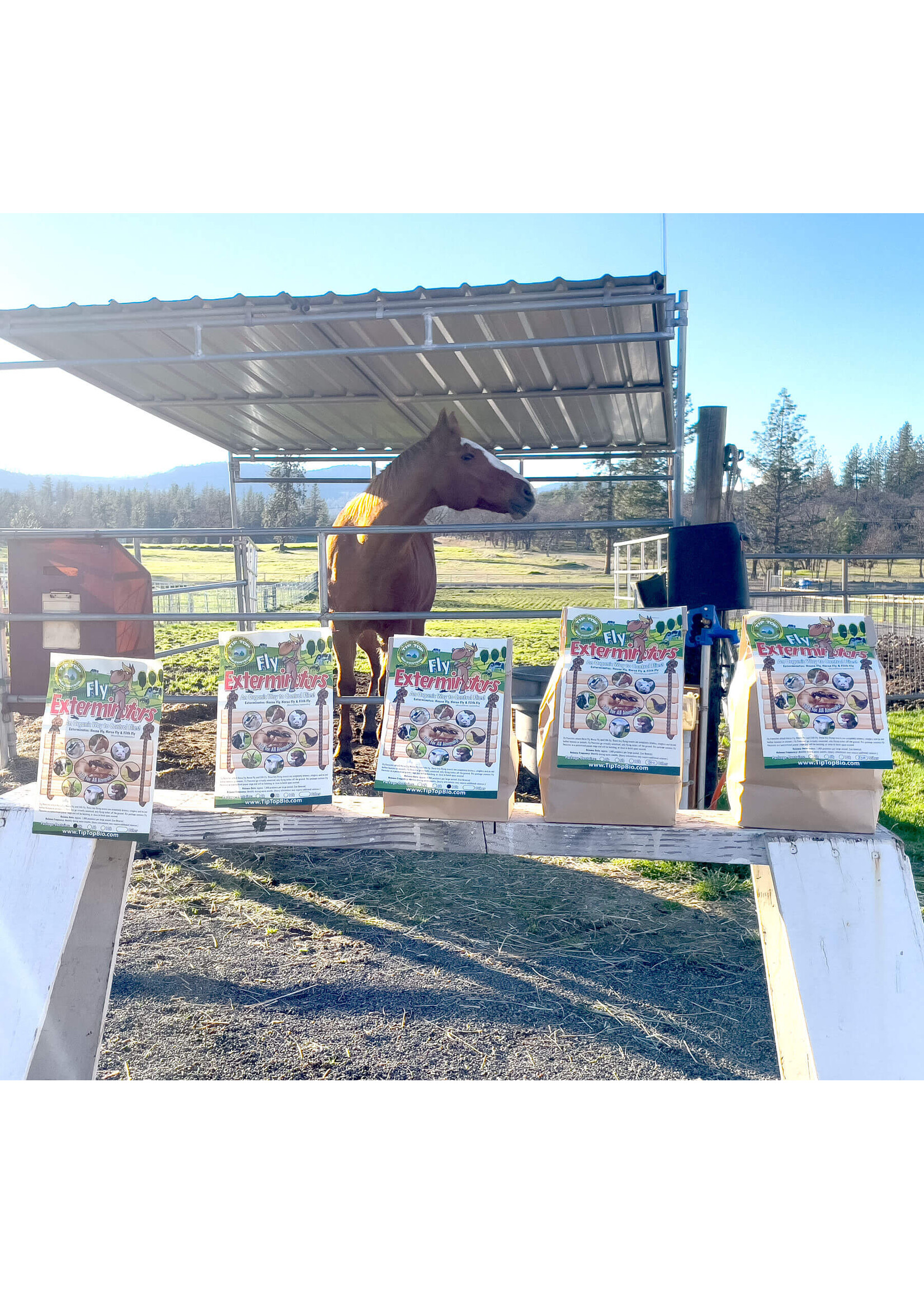 Tip Top Bio-Control Fly Exterminators - Fly Control