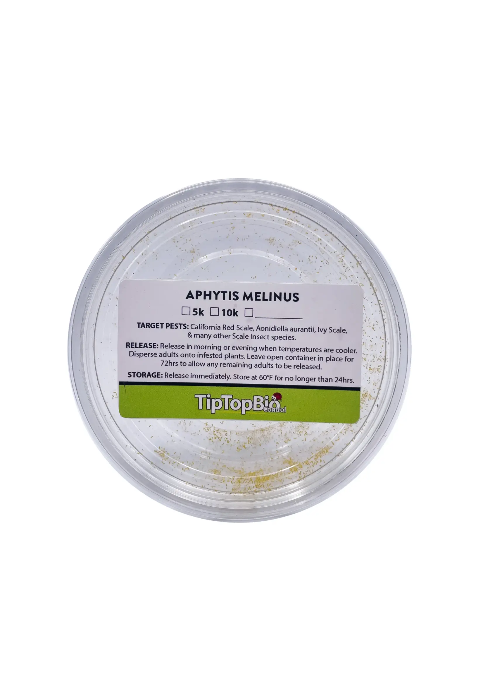 Tip Top Bio-Control Aphytis melinus - Scale Control