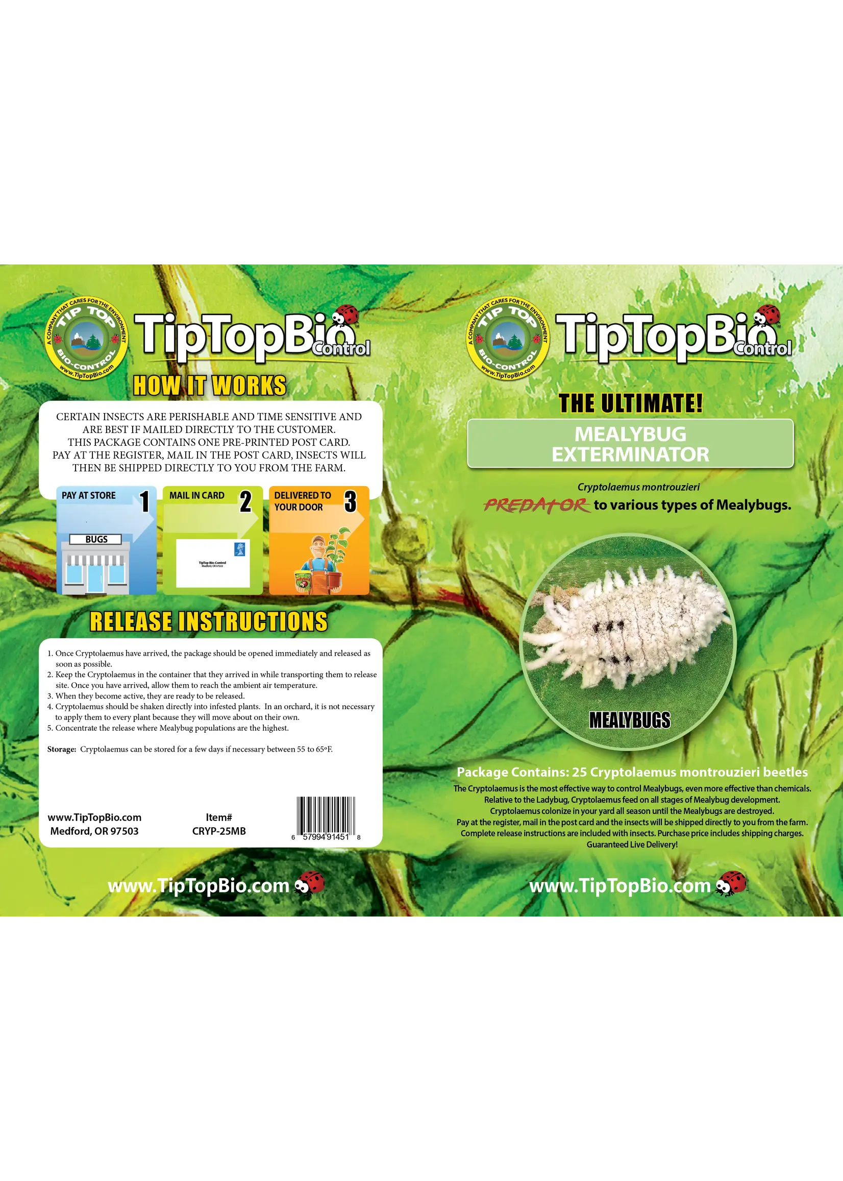 Tip Top Bio-Control Cryptolaemus montrouzieri - Mealybug Control