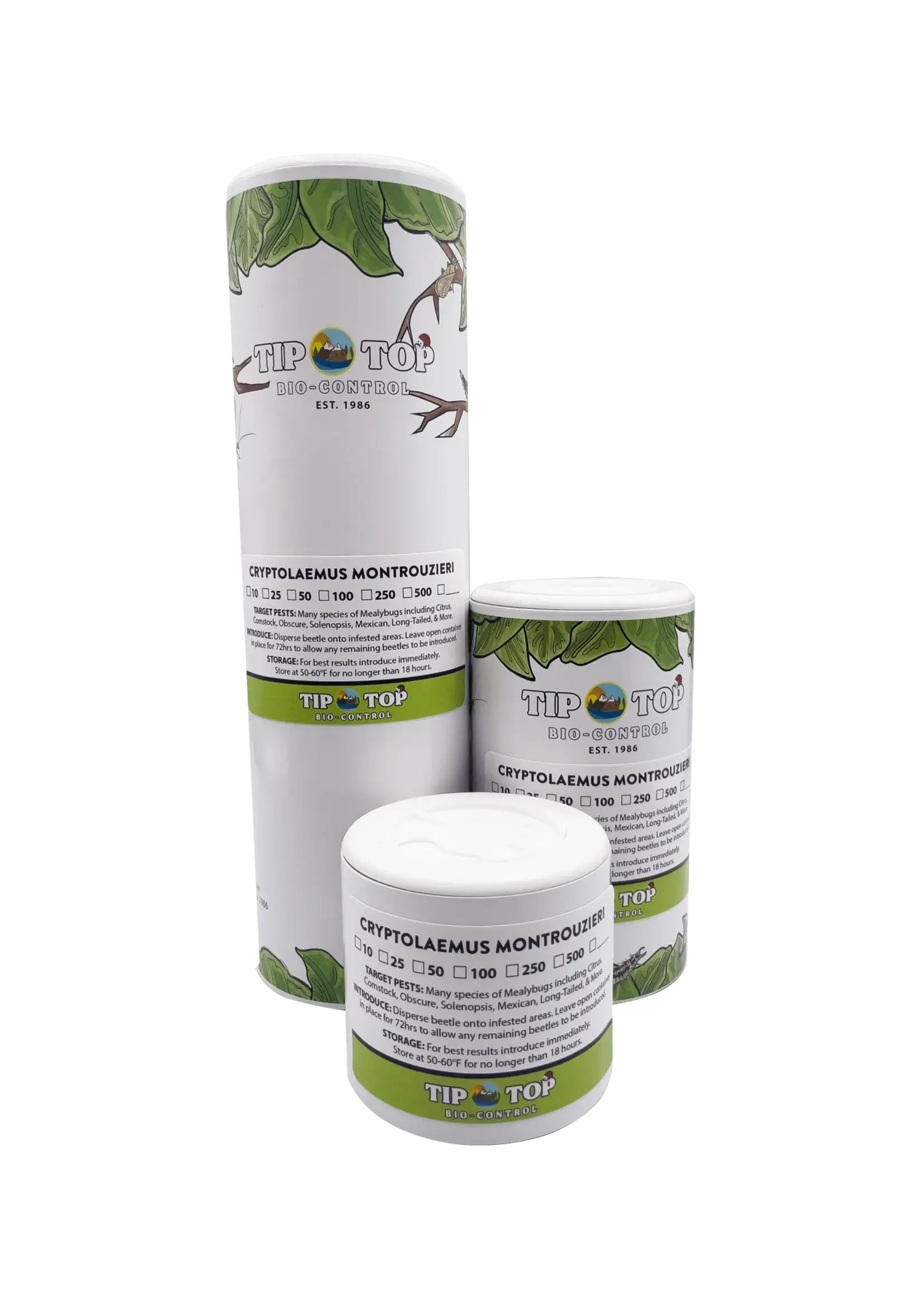 Tip Top Bio-Control Cryptolaemus montrouzieri - Mealybug Control