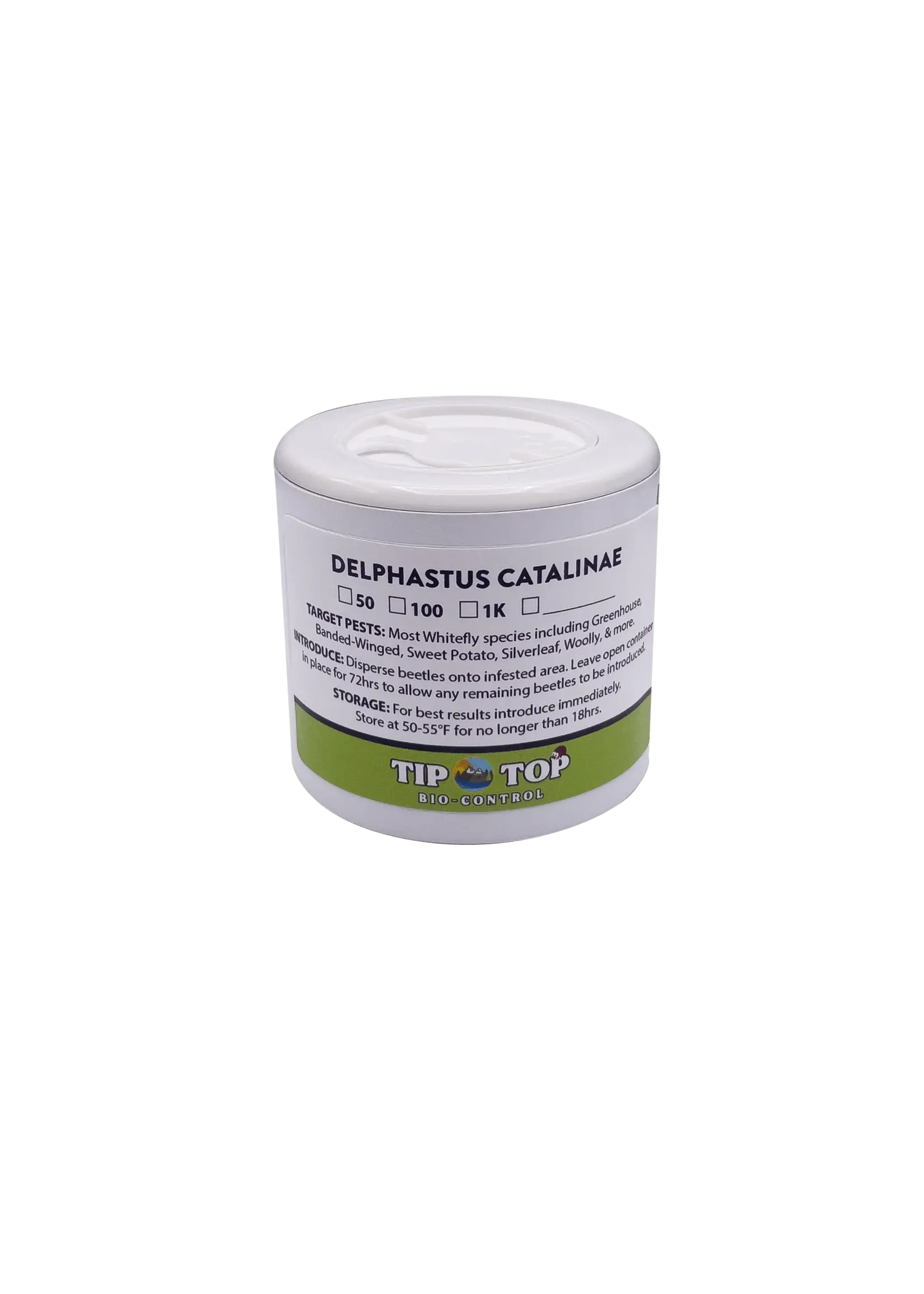 Tip Top Bio-Control Delphastus catalinae - Whitefly Control