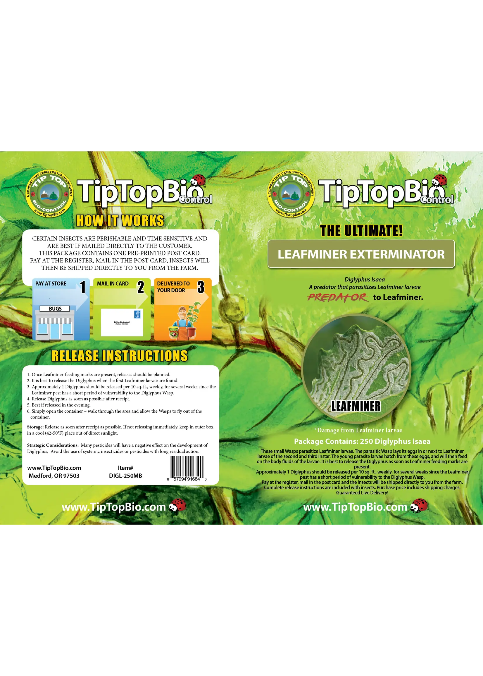 Tip Top Bio-Control Diglyphus isaea - Warm Weather Leafminer Control - 250 Insects