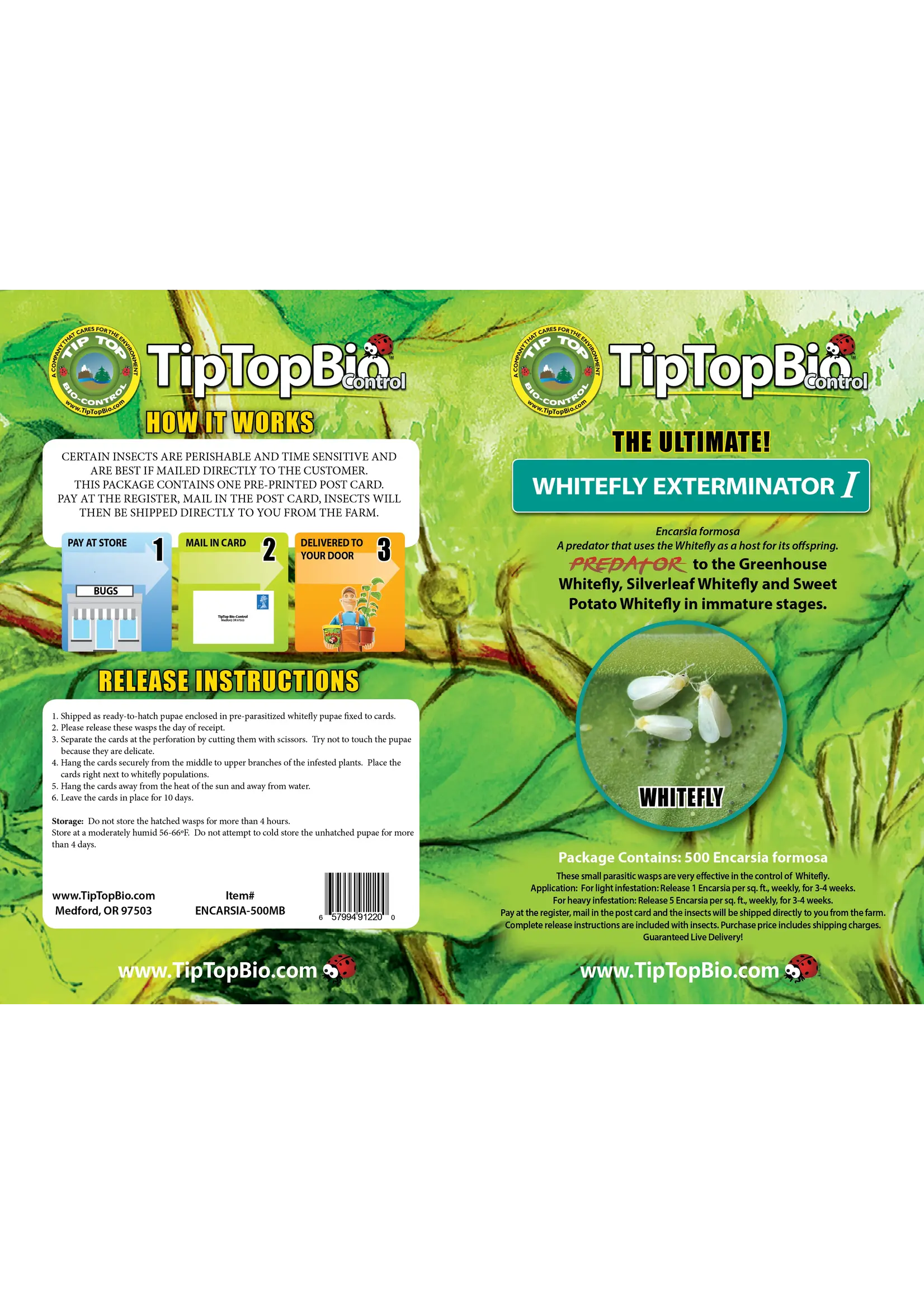 Tip Top Bio-Control Encarsia formosa - Whitefly Control