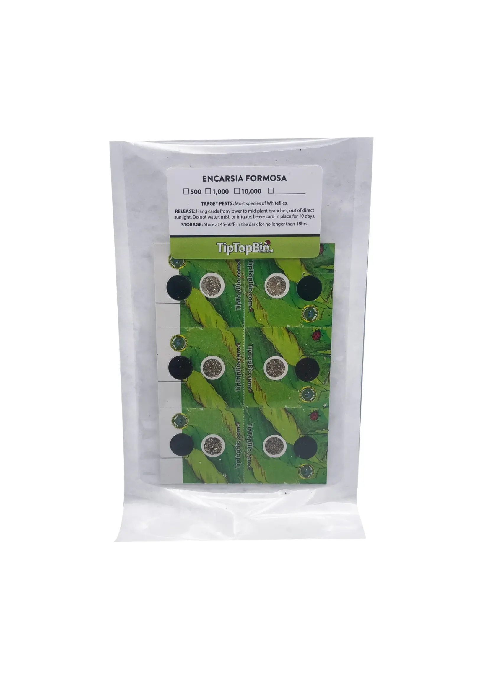 Tip Top Bio-Control Encarsia formosa - Whitefly Control