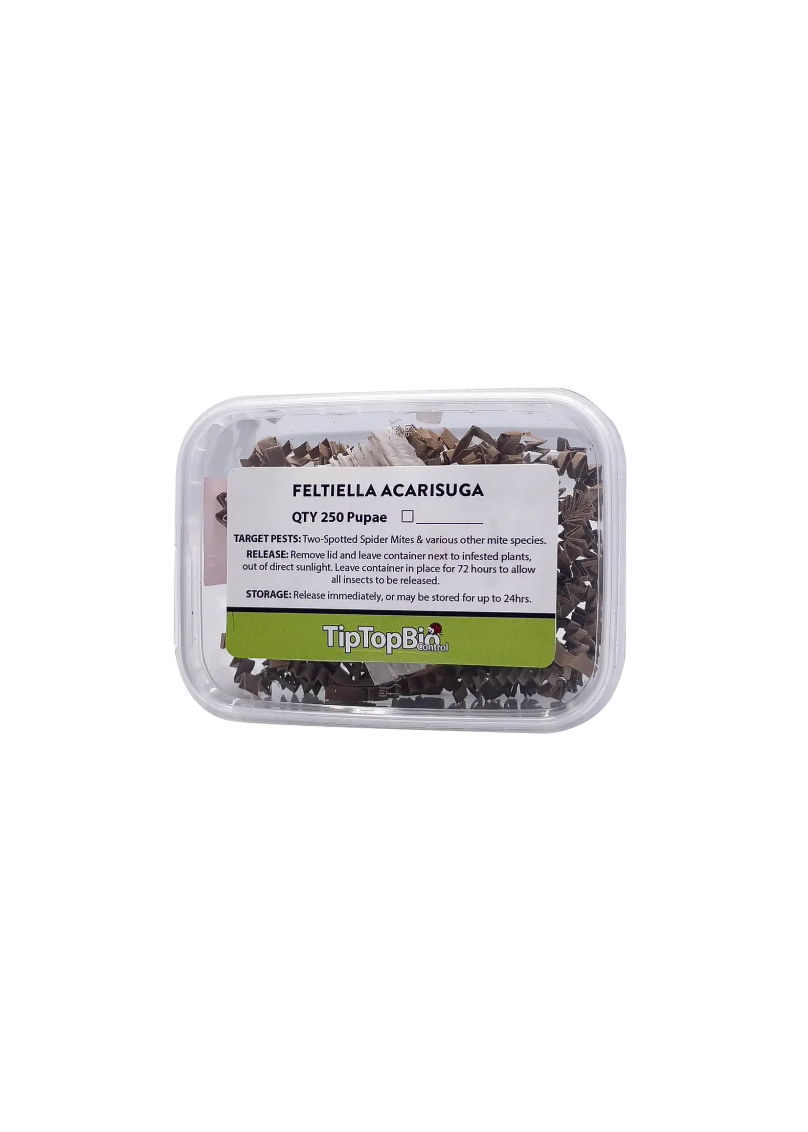 Tip Top Bio-Control Feltiella acarisuga - Spider Mite Control - 250 Pupae