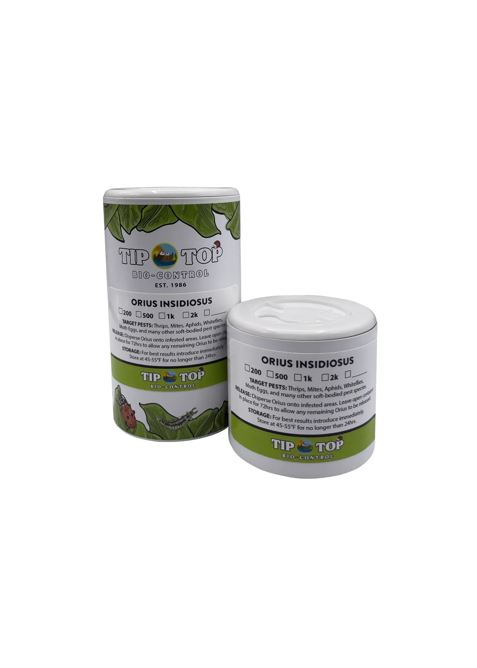 Tip Top Bio-Control Orius insidiosus - Minute Pirate Bug - Controls All Life Stages of Thrips