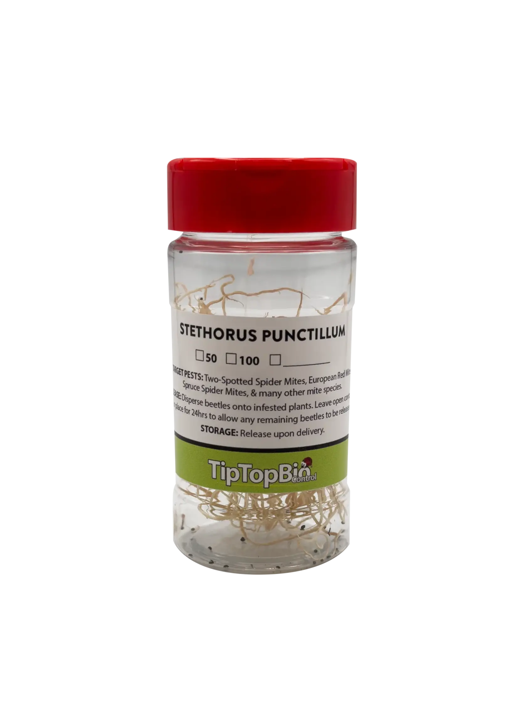 Tip Top Bio-Control Stethorus punctillum - Spider Mite Control