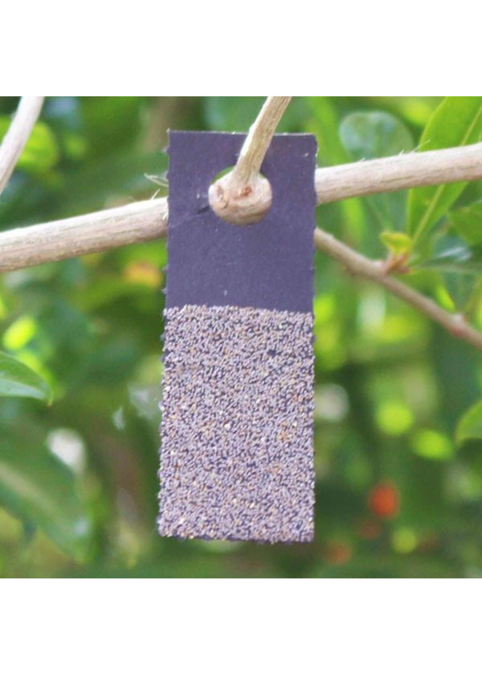Tip Top Bio-Control Trichogramma platneri/minutem - 100k Eggs -Caterpillar & Moth Control - Tall Crops