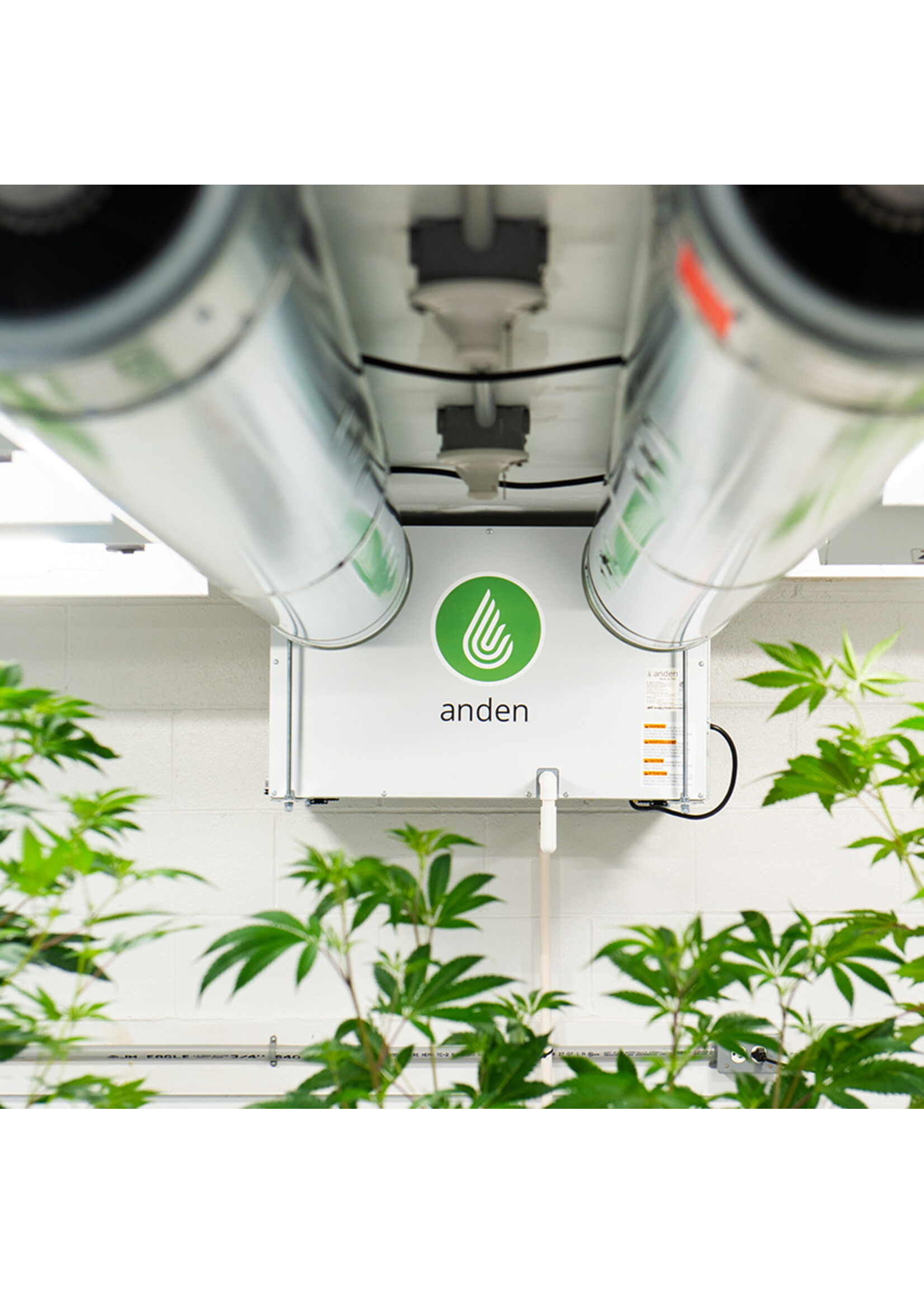 Anden Anden Grow-Optimized Industrial Dehumidifier A210V1 210 Pint - 240V