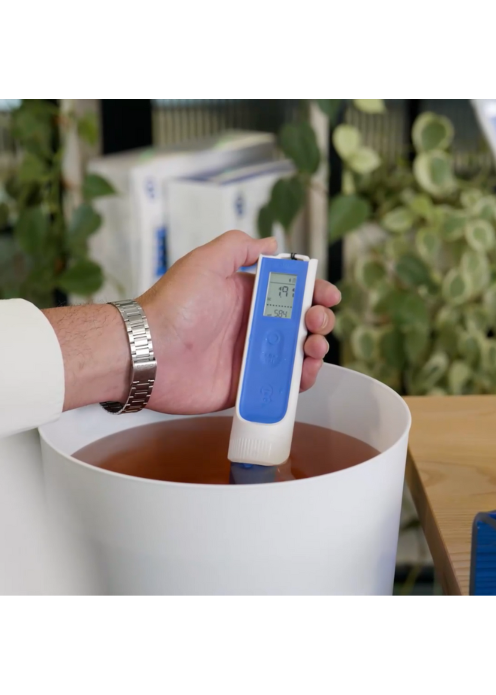 BlueLab Bluelab OnePen 3-in-1 pH EC Temp Pen with Replaceable Probe