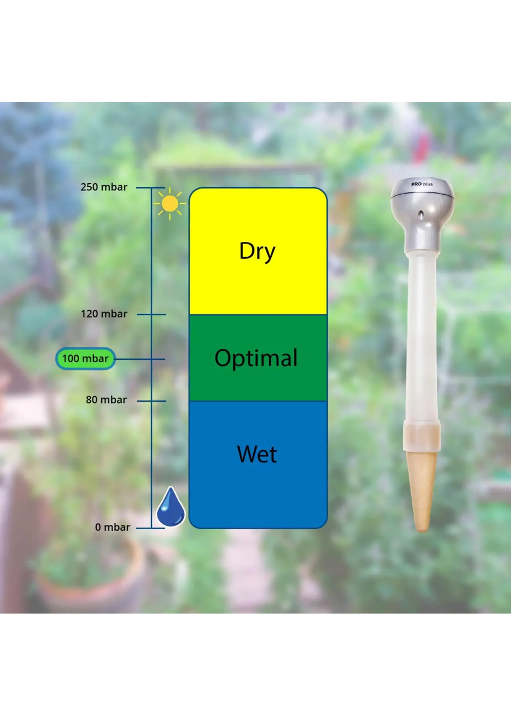 Blumat Blumat Digital Moisture Meter
