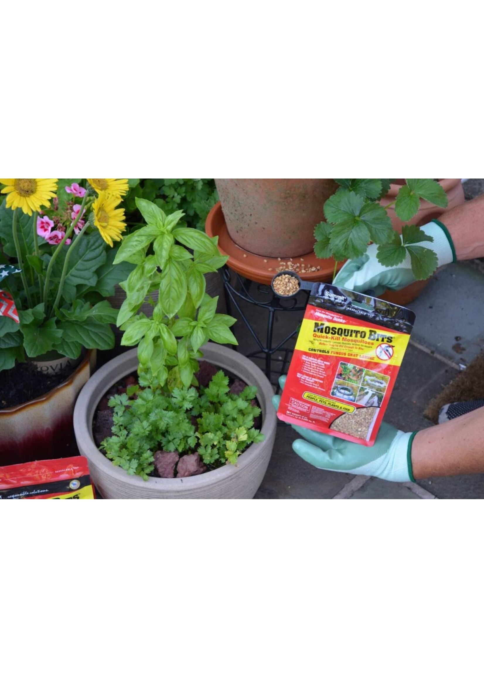 Summit Chemical Company Summit Mosquito Bits - Controls Fungus Gnats