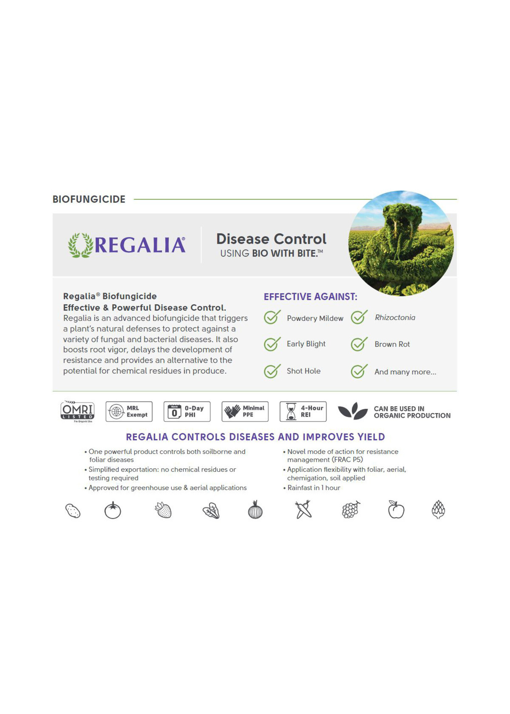 Marrone Bio Innovations Regalia CG Biofungicide
