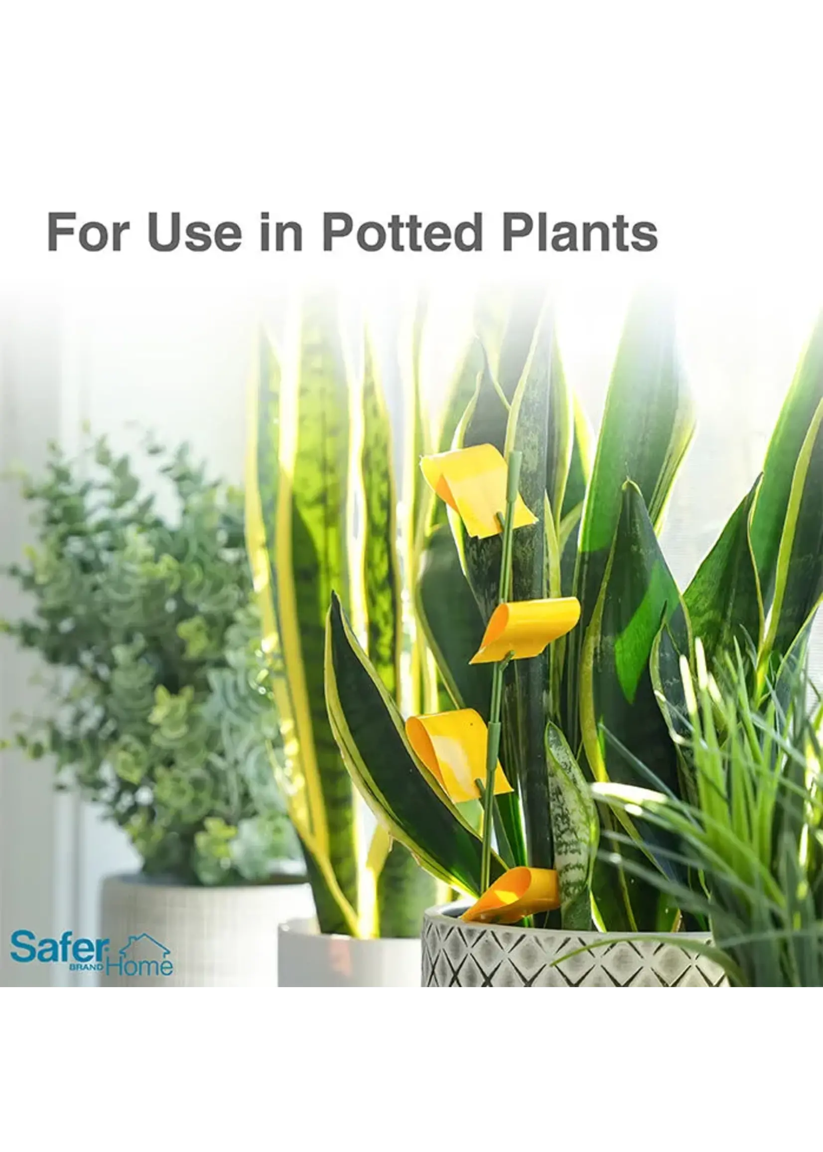 Safer Safer Sticky Houseplant Stakes (Pack of 8 Stakes)