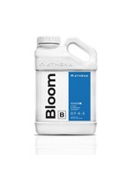 Athena Athena Bloom B 0.7-6-5