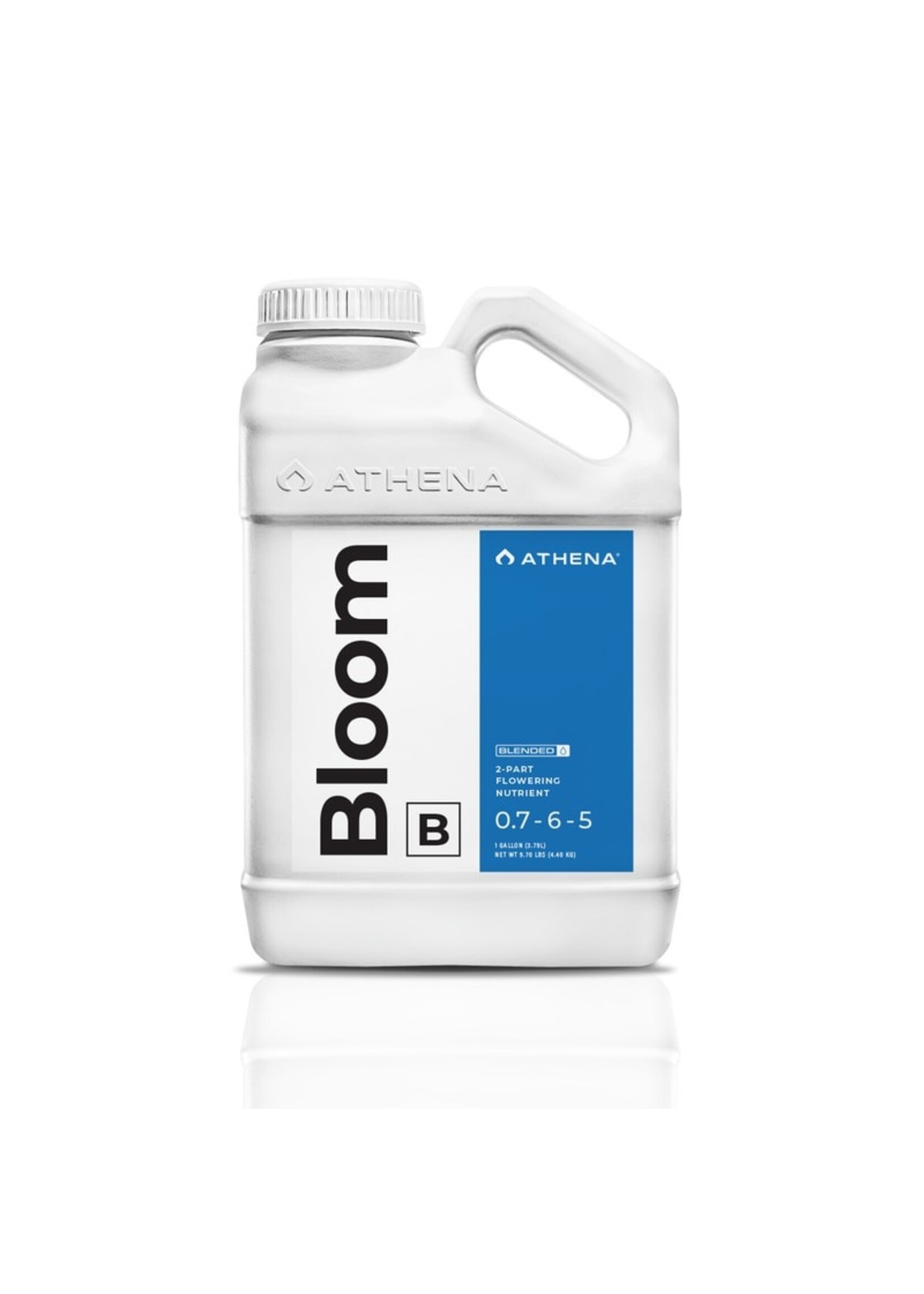 Athena Athena Bloom B 0.7-6-5