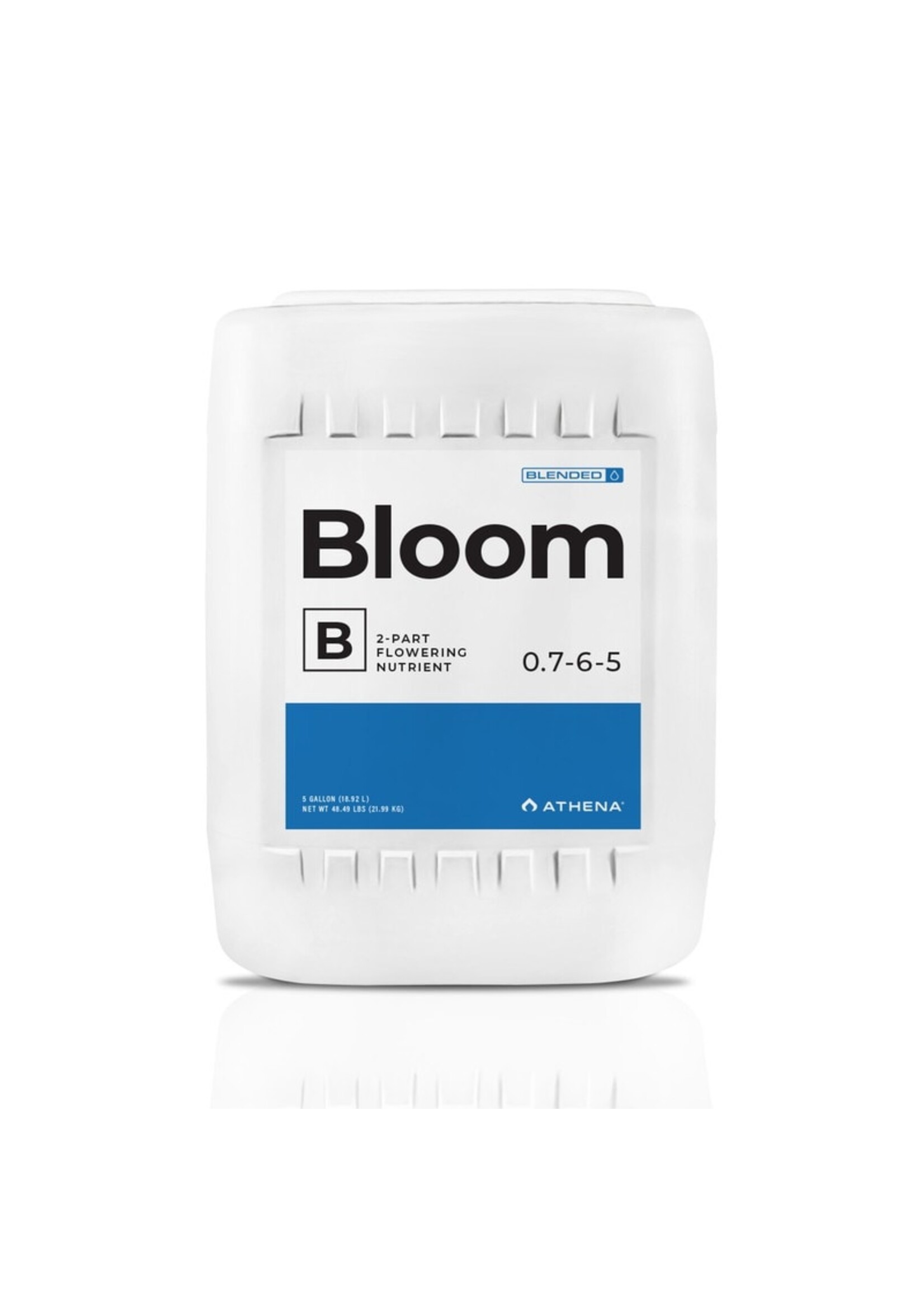 Athena Athena Bloom B 0.7-6-5