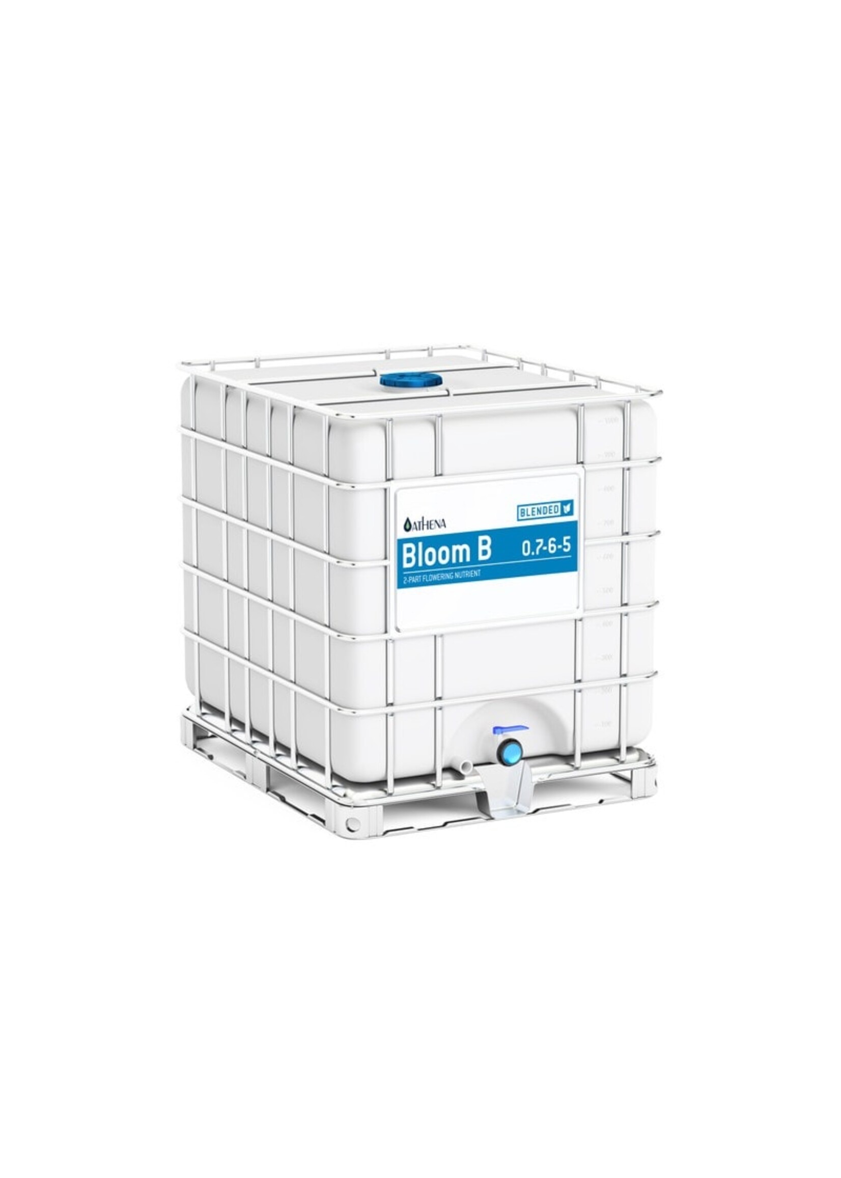 Athena Athena Bloom B 0.7-6-5