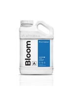 Athena Athena Bloom A 4-0-5