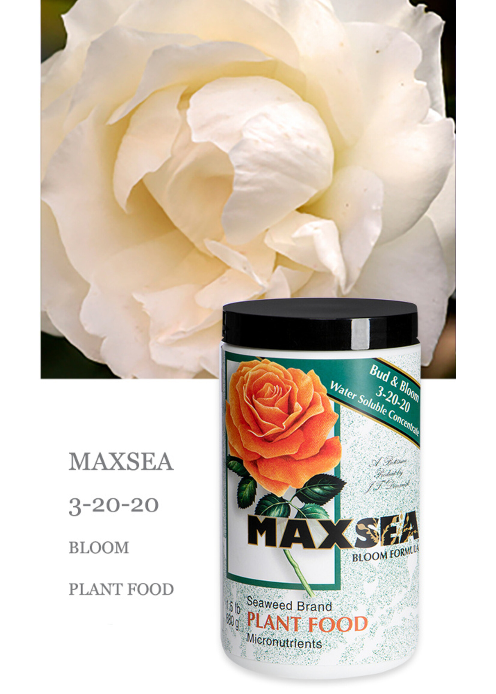Maxsea Maxsea Bloom Plant Food 3-20-20
