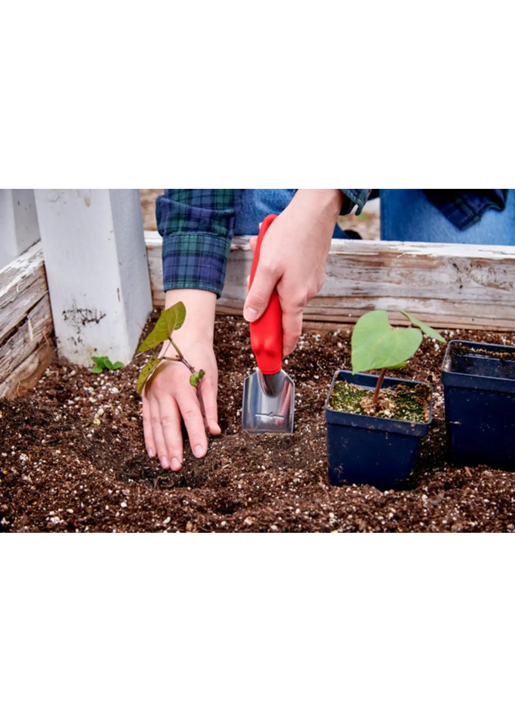 Corona Corona Transplanter Trowel