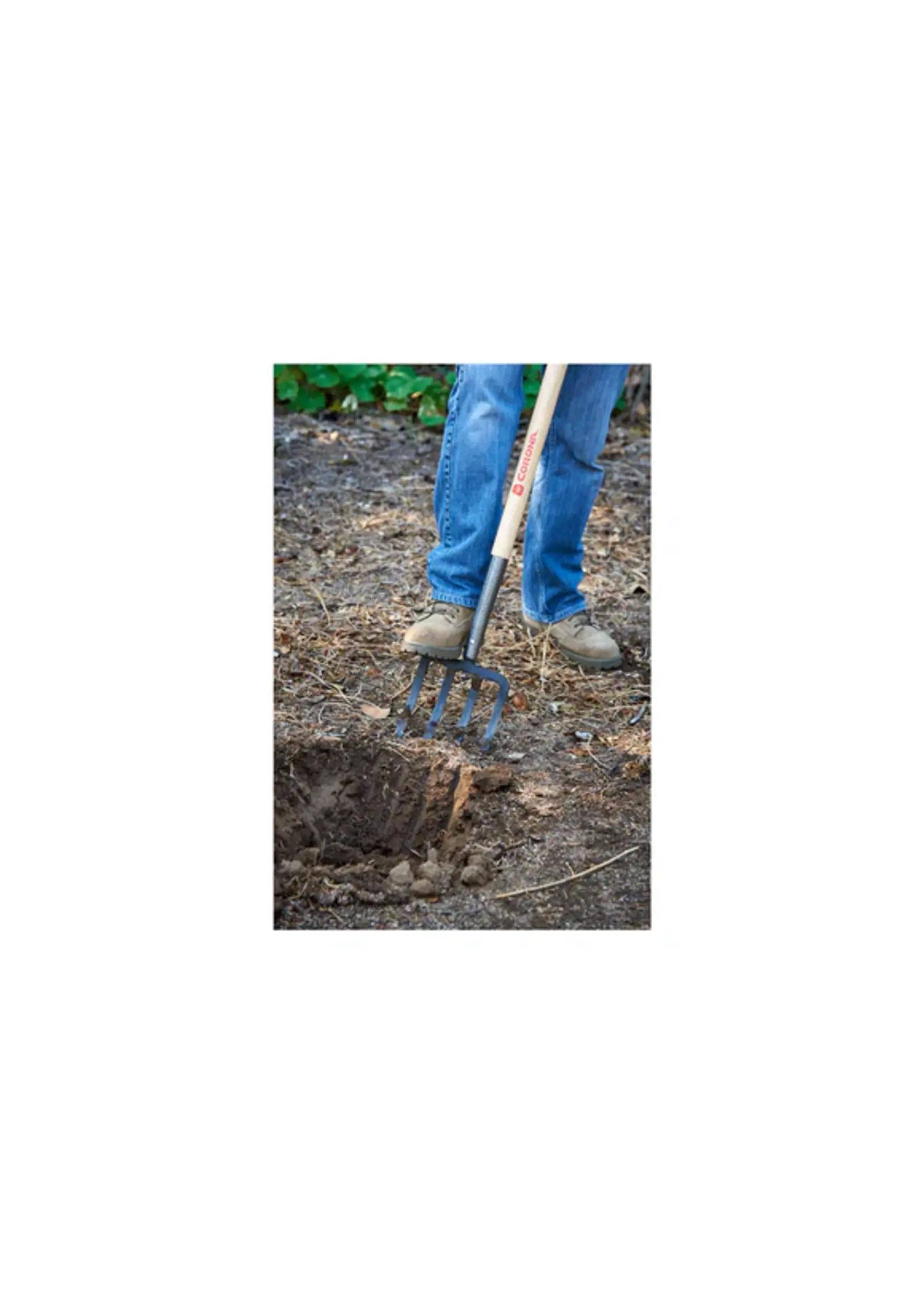 Corona Corona 4 Tine Digging Fork with D Handle