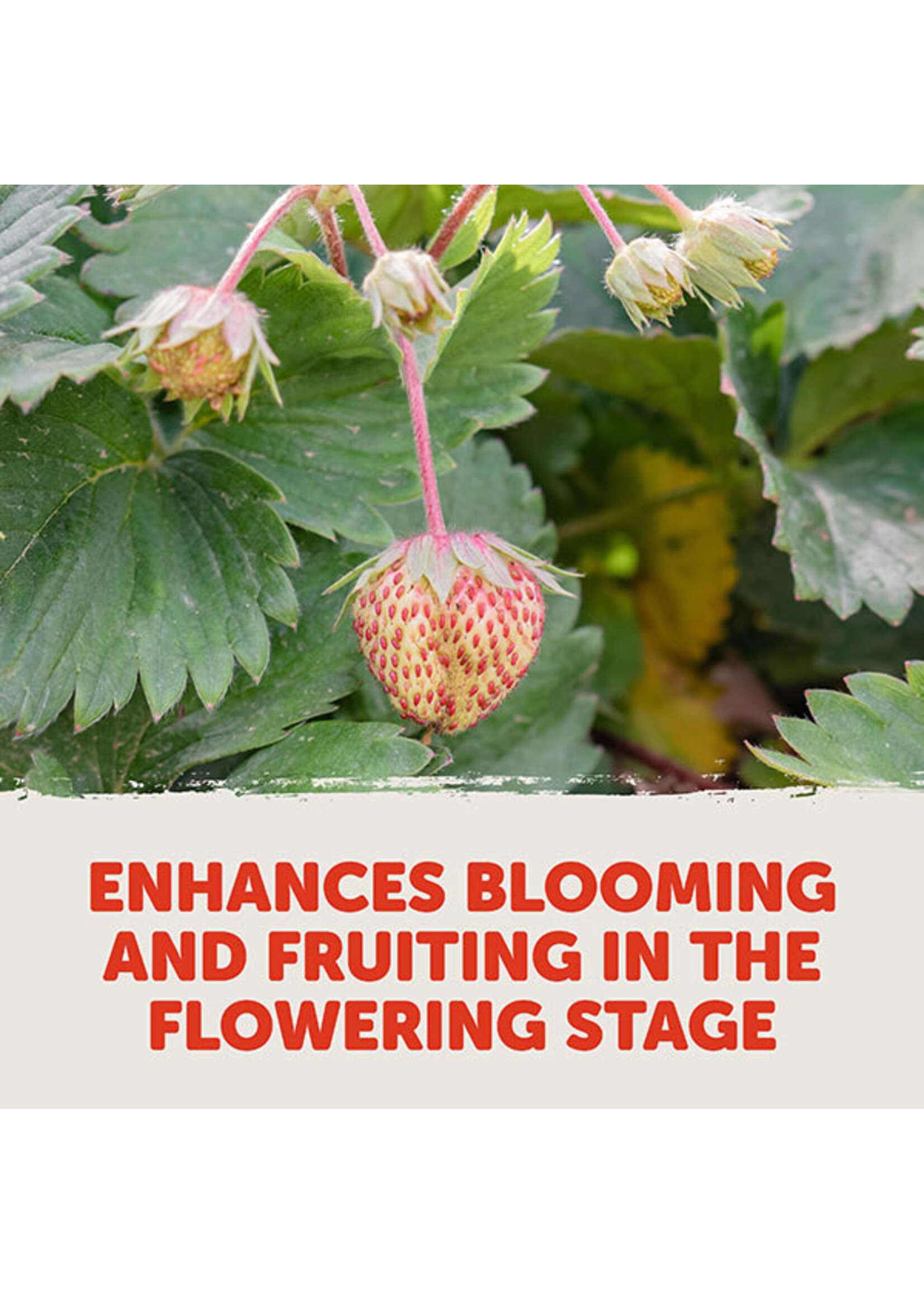 Earth Juice Earth Juice Sugar Peak Flowering 2-4-5