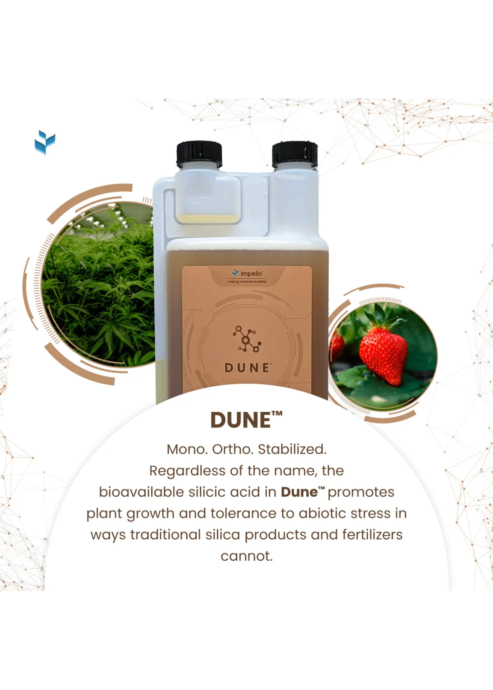 Impello BioSciences Impello Dune Monosilicic Acid