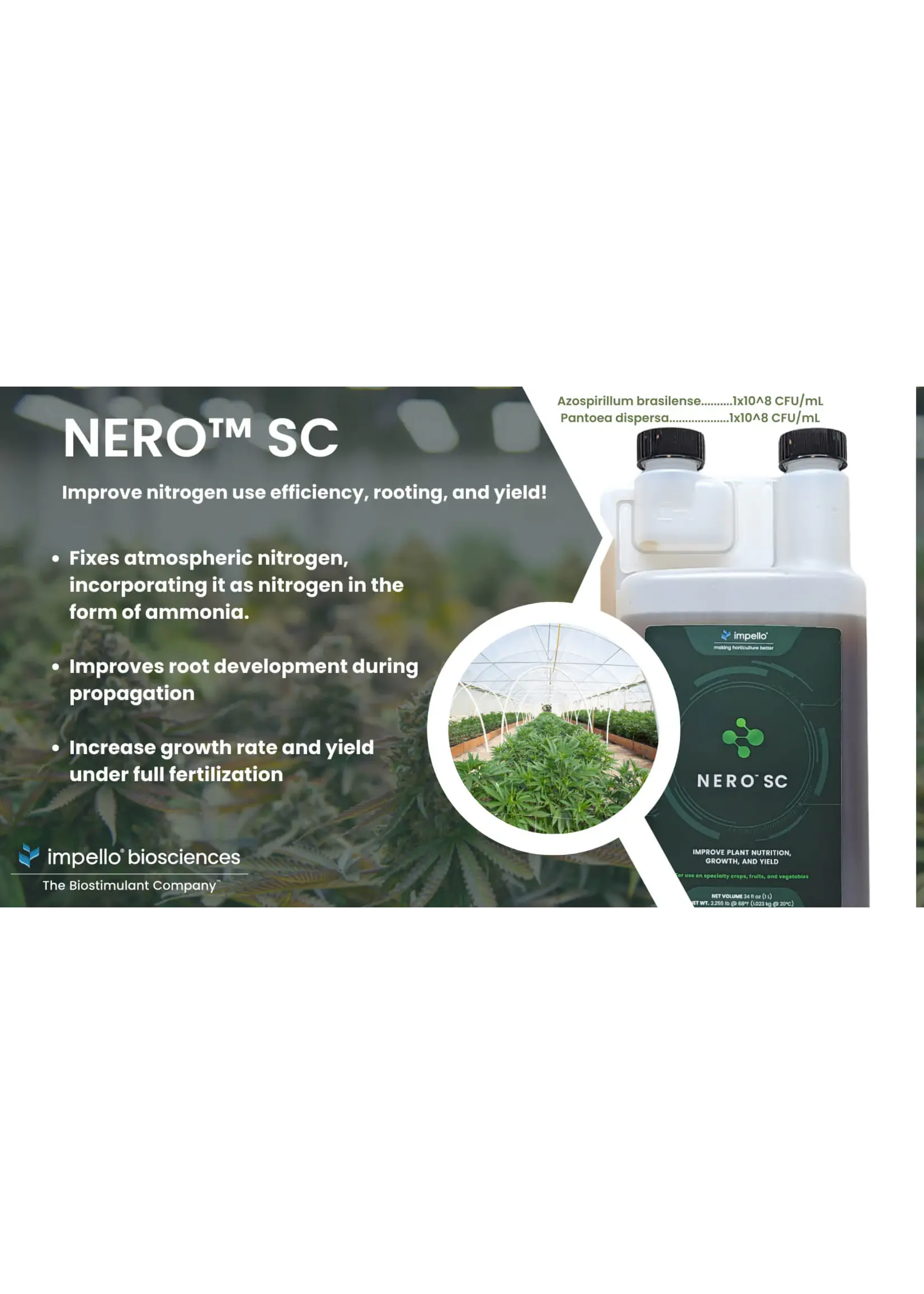 Impello BioSciences Impello Nero SC Microbial Inoculant