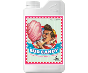 Bud Candy - RASA Garden Supply Company