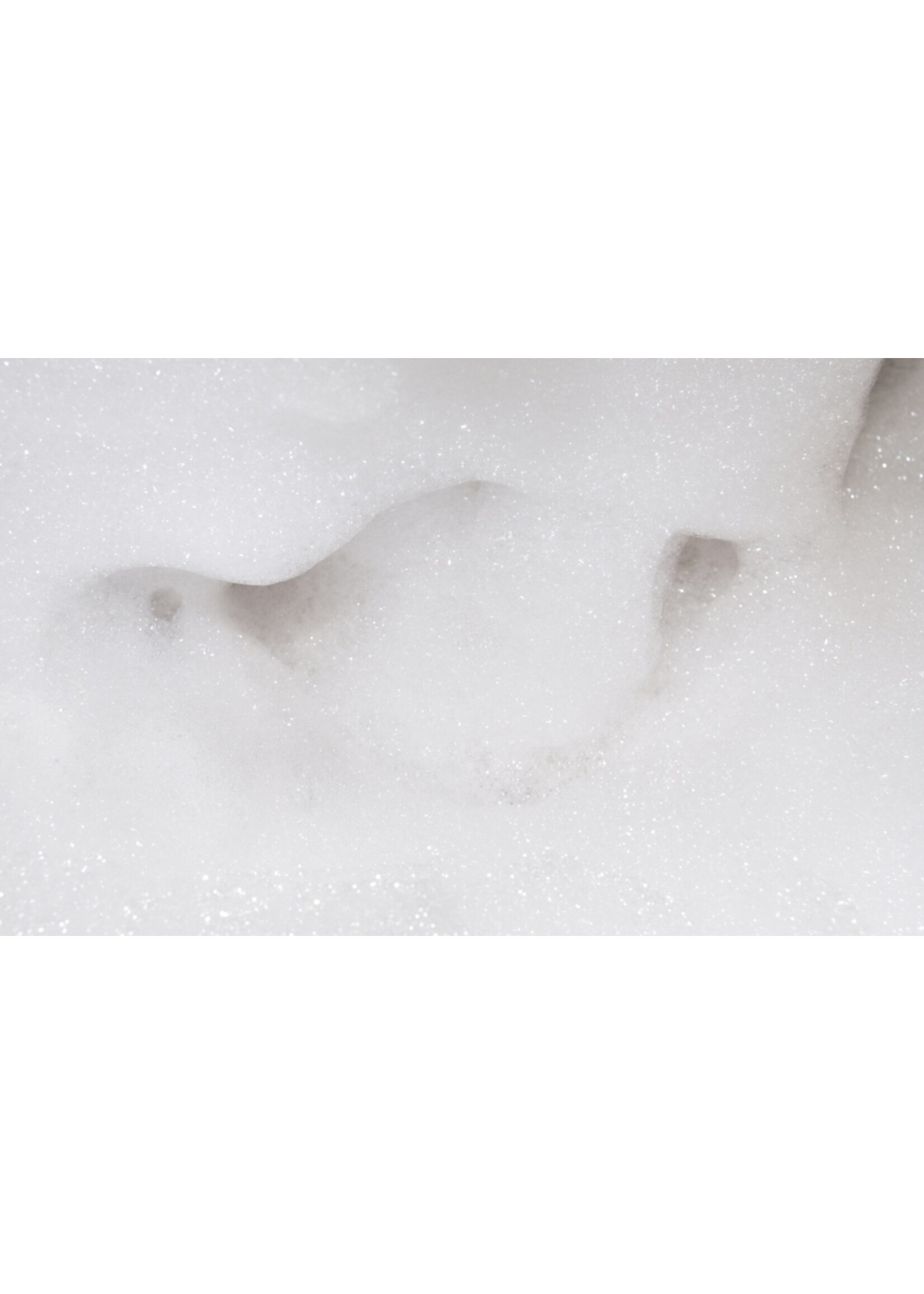BioSafe Systems Biosafe Foaming Agent 5 Gallon