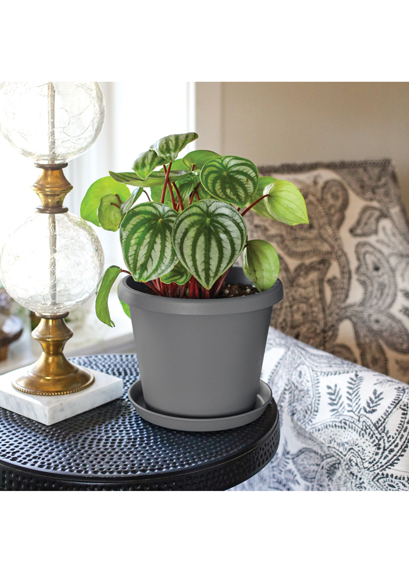 THE HC COMPANIES, INC. Classic Prima Planter