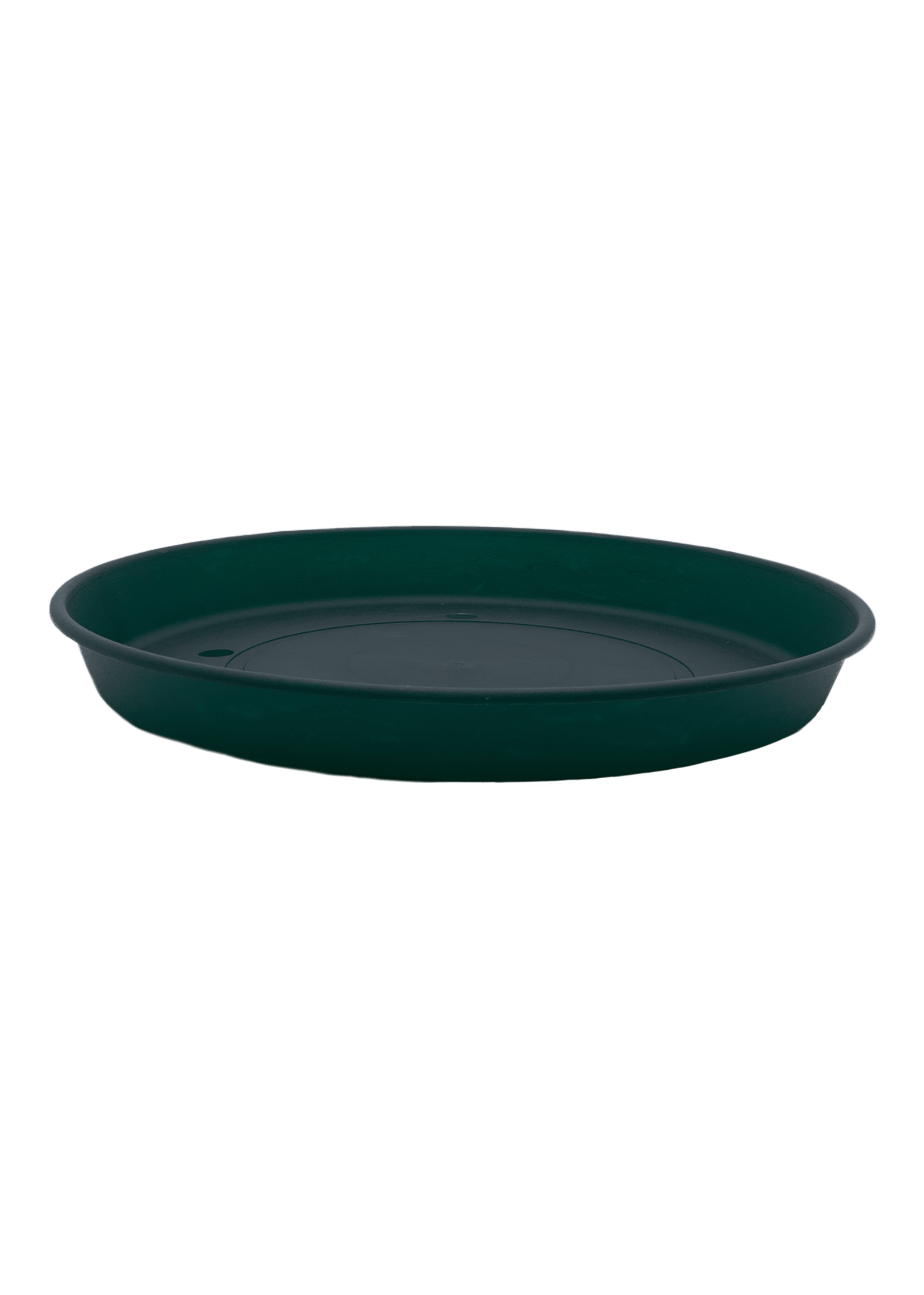 THE HC COMPANIES, INC. Classic Prima Saucer