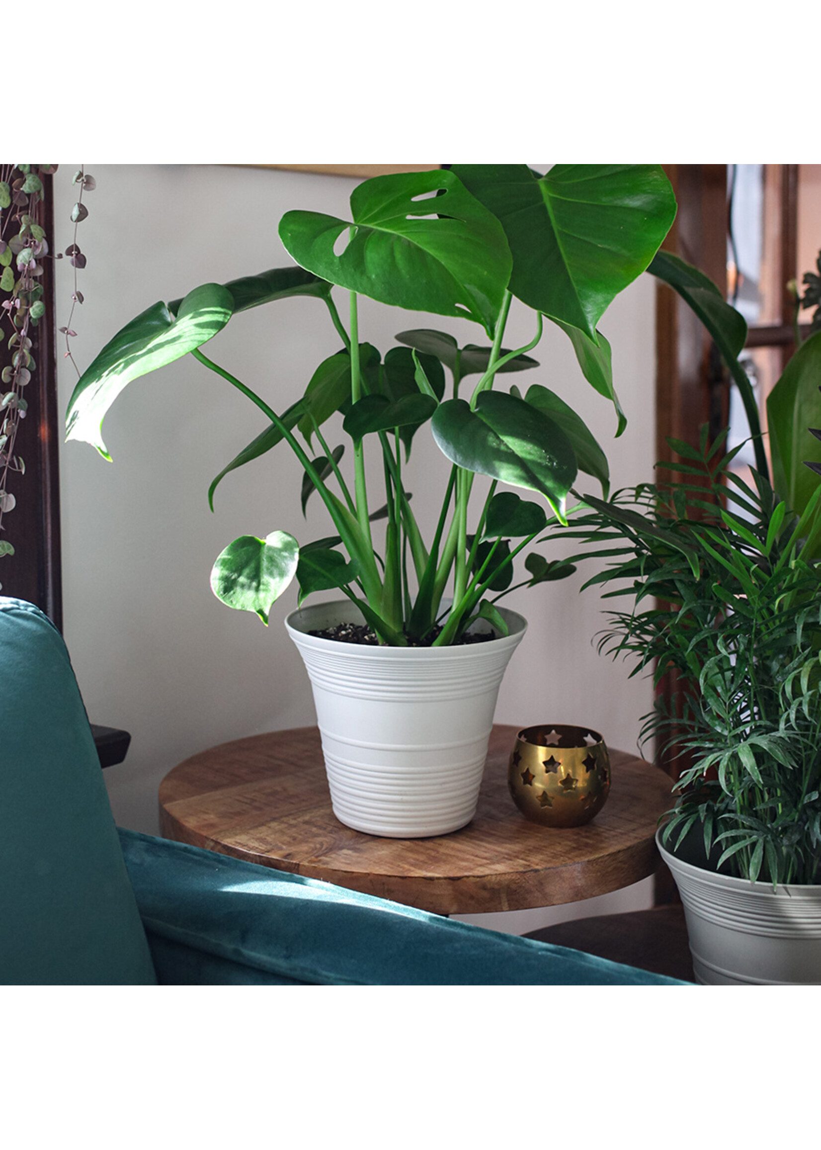 THE HC COMPANIES, INC. Sedona Self Watering Planter