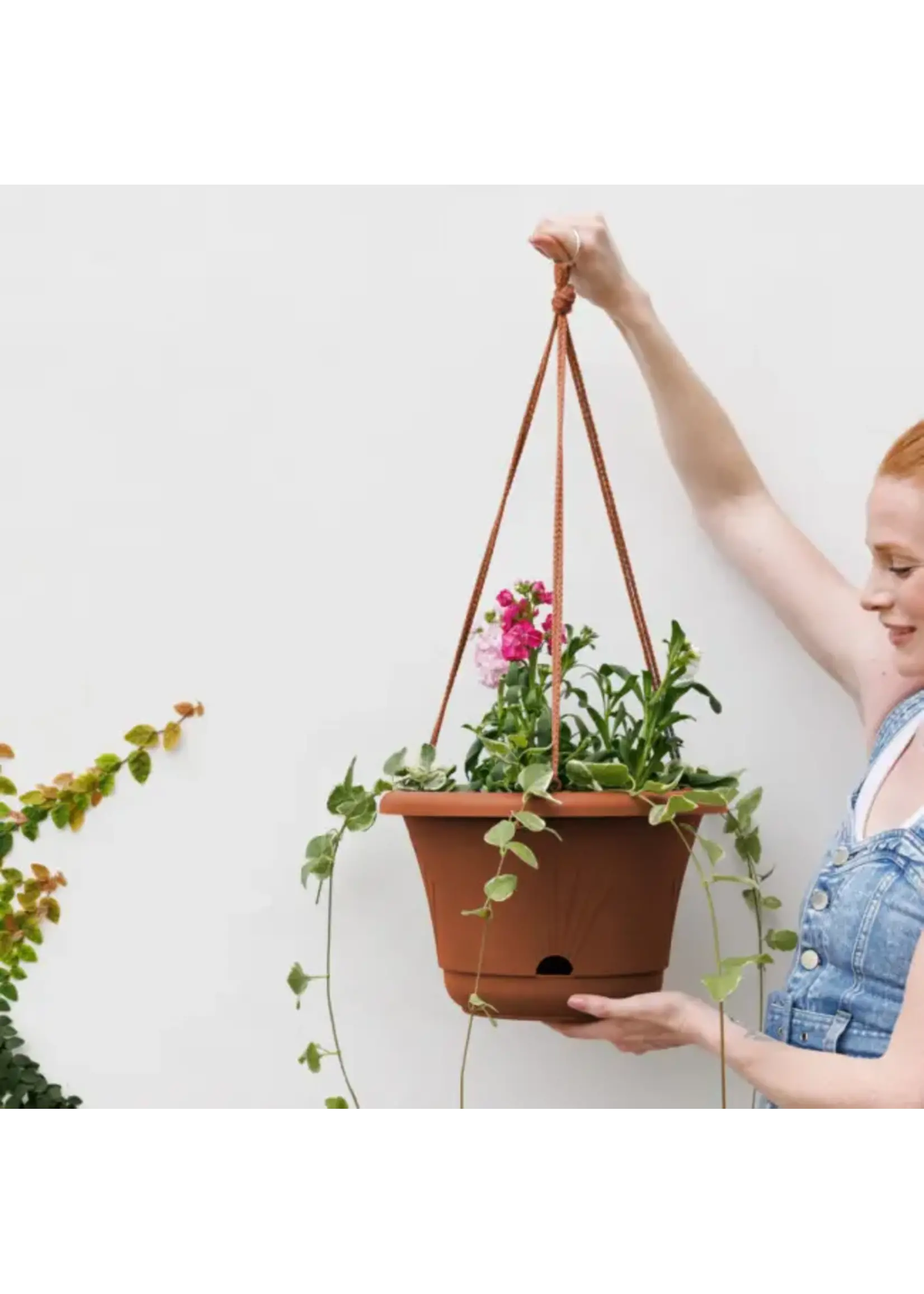 Bloem Lucca 13 Inch Self Watering Hanging Basket Terra Cotta