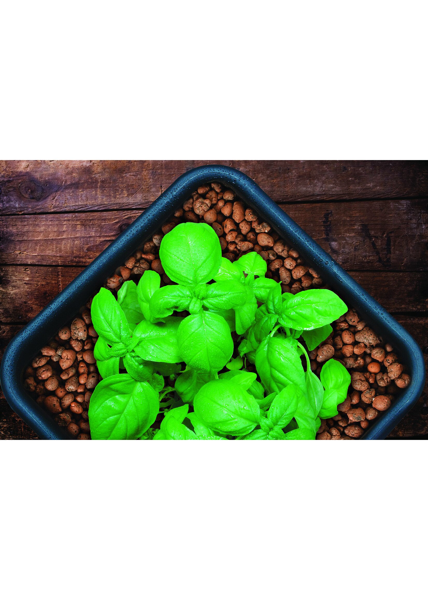 GROW!T GROW!T Clay Pebbles, 4 mm-16 mm, 40 L