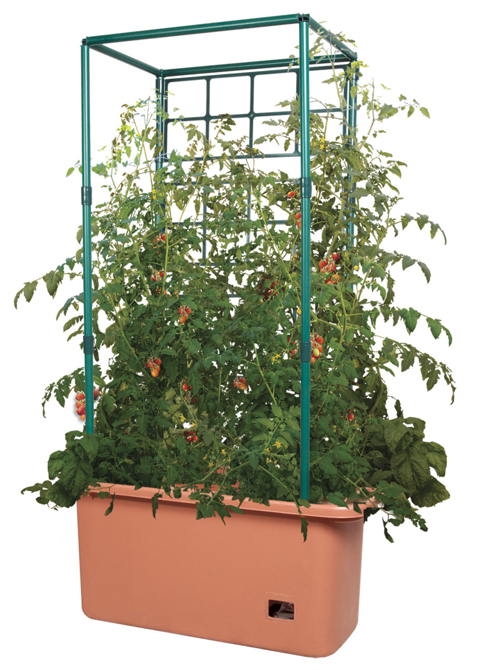 Hydrofarm Tomato Self-Watering Trellis Garden on Wheels