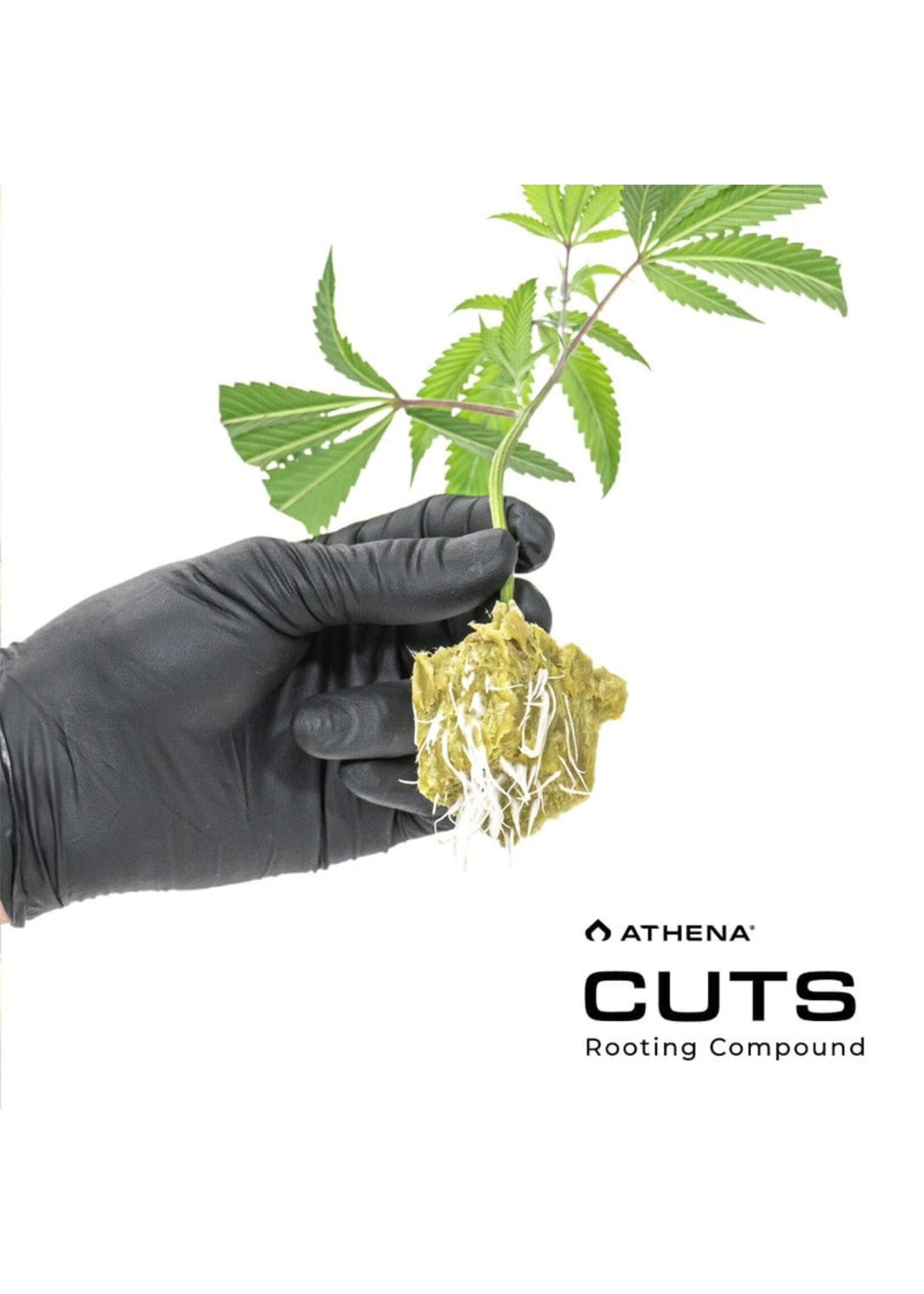 Athena Athena Cuts 8oz