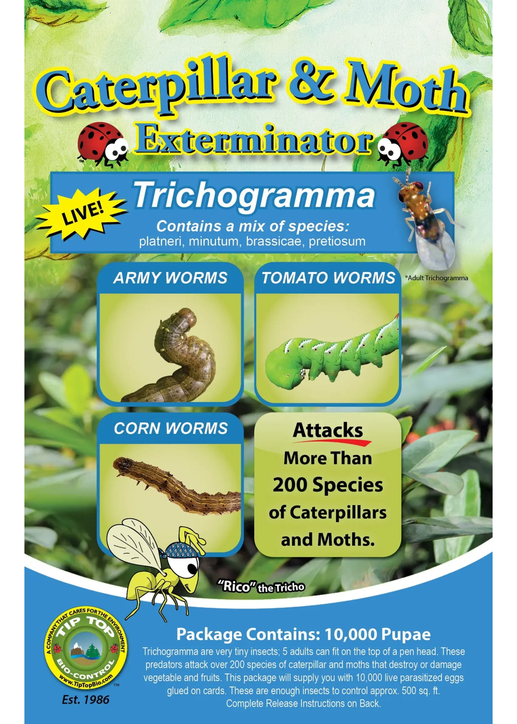 Tip Top Bio-Control Moth & Caterpillar Exterminator - Trichogramma Mix