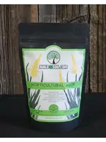 Build-A-Soil BuildASoil Horticultural Aloe Vera Powder (1 OZ)