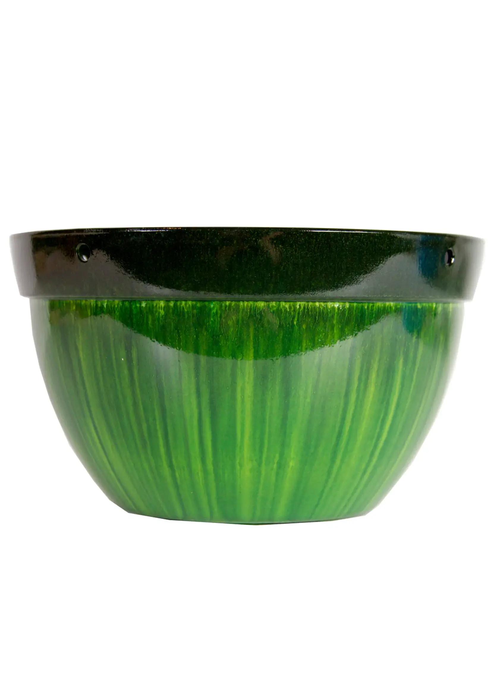 Gardener Select Gardener Select 12 Inch Hanging Basket Drip Green