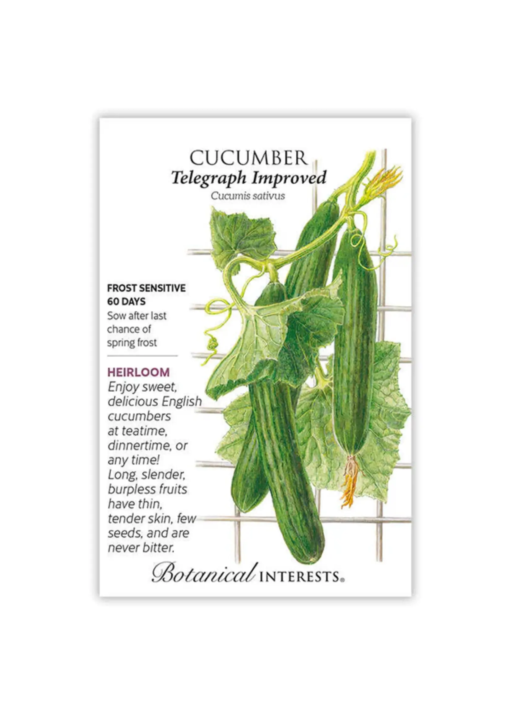 Botanical Interests Cucumber English Telegraph