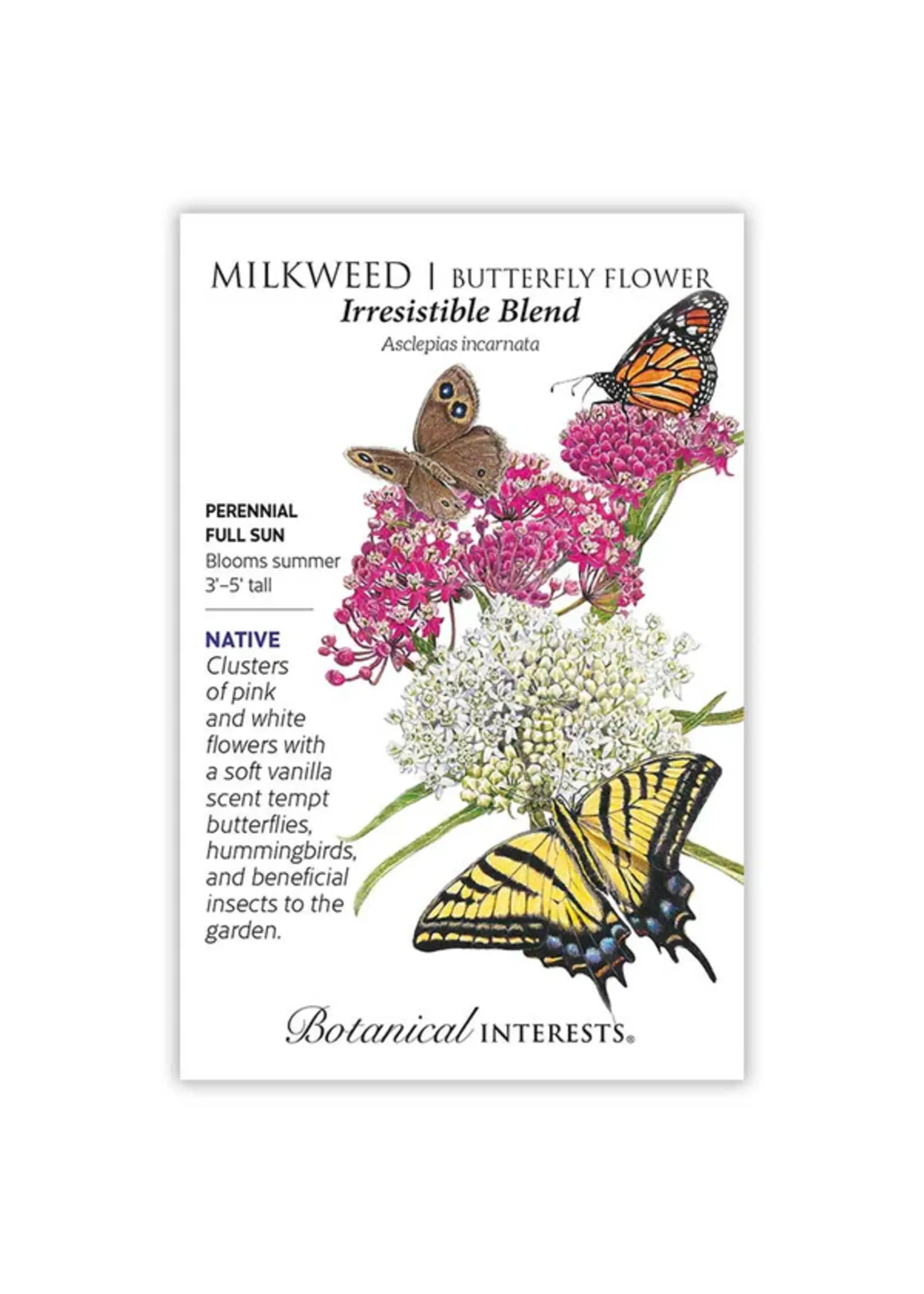 Botanical Interests Milkweed Irresistible Blend