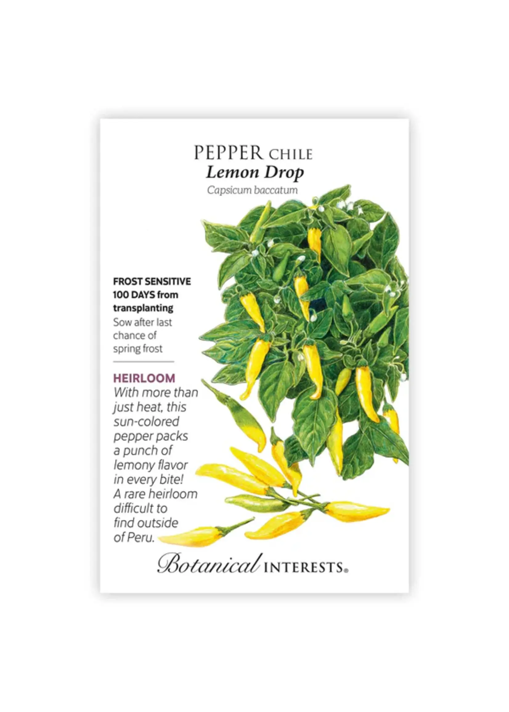 Botanical Interests Pepper Chile Lemon Drop